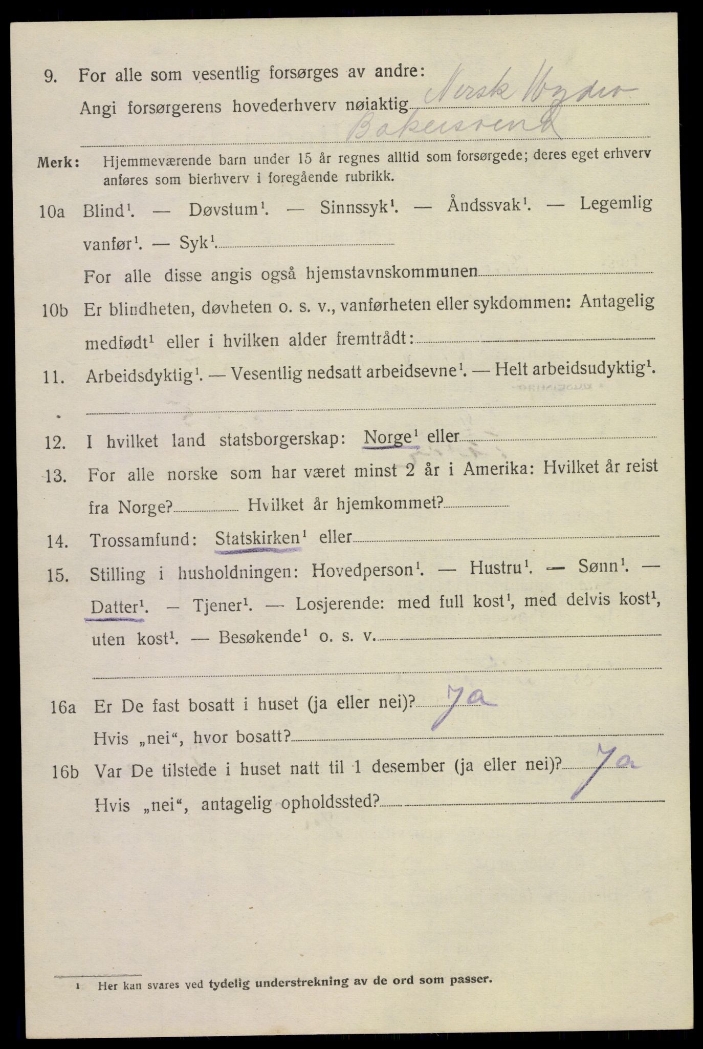 SAKO, 1920 census for Tinn, 1920, p. 10037