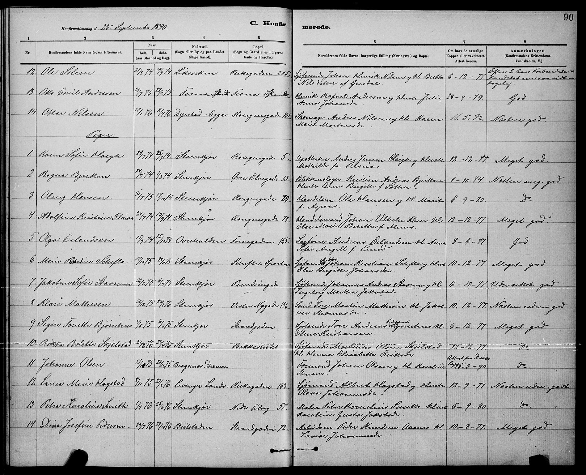 Ministerialprotokoller, klokkerbøker og fødselsregistre - Nord-Trøndelag, SAT/A-1458/739/L0374: Parish register (copy) no. 739C02, 1883-1898, p. 90