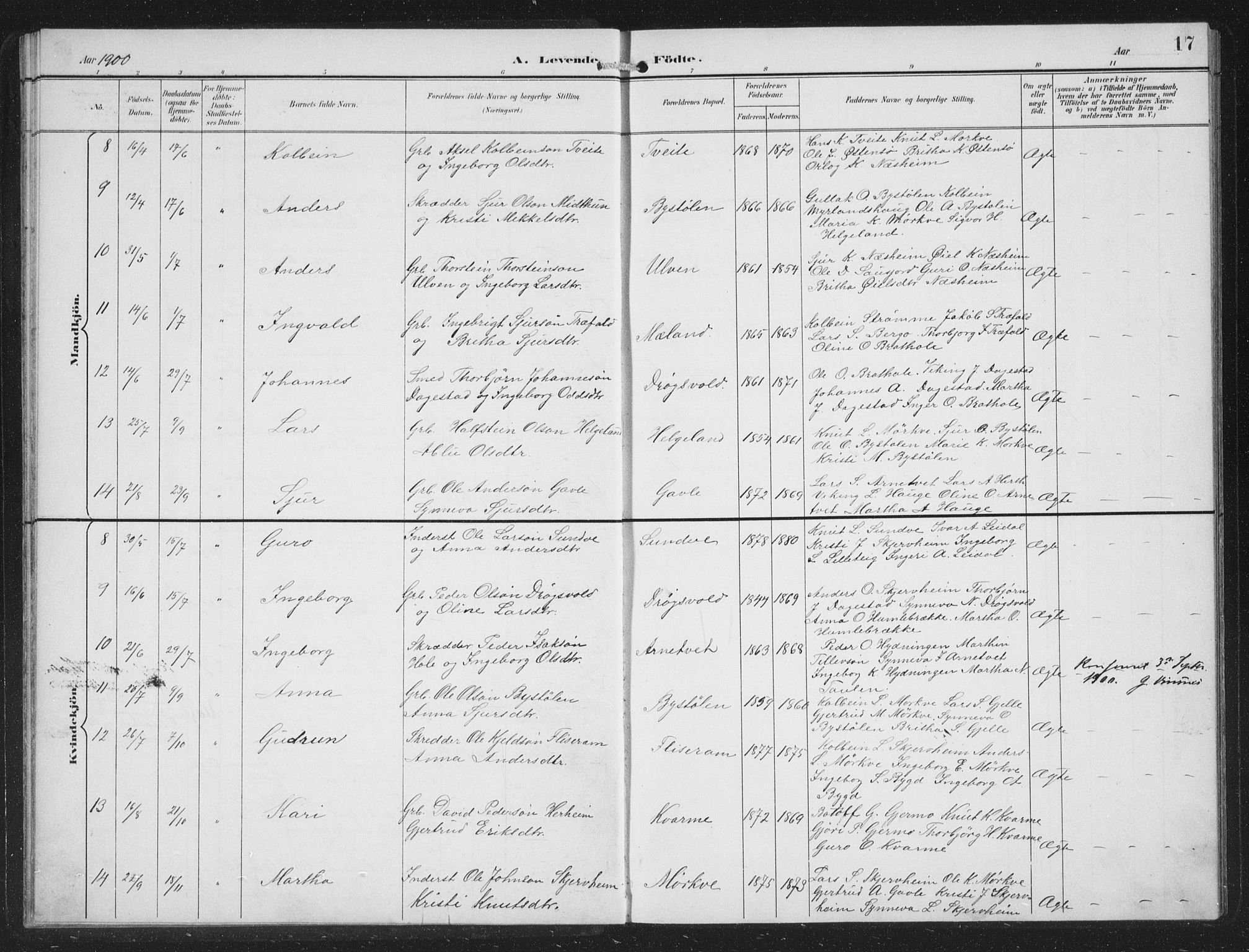 Vossestrand Sokneprestembete, AV/SAB-A-79101/H/Hab: Parish register (copy) no. B 4, 1894-1941, p. 17