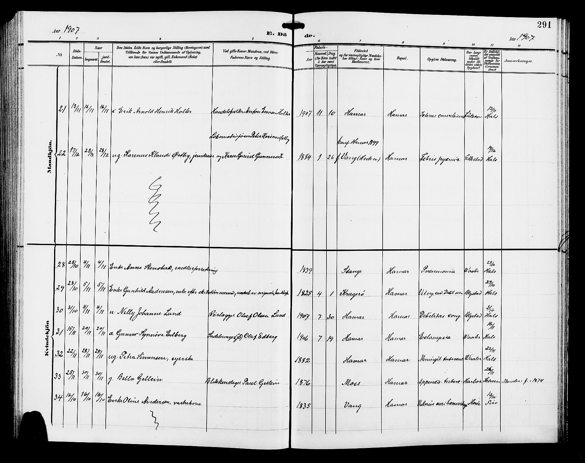 Hamar prestekontor, AV/SAH-DOMPH-002/H/Ha/Hab/L0001: Parish register (copy) no. 1, 1899-1914, p. 291