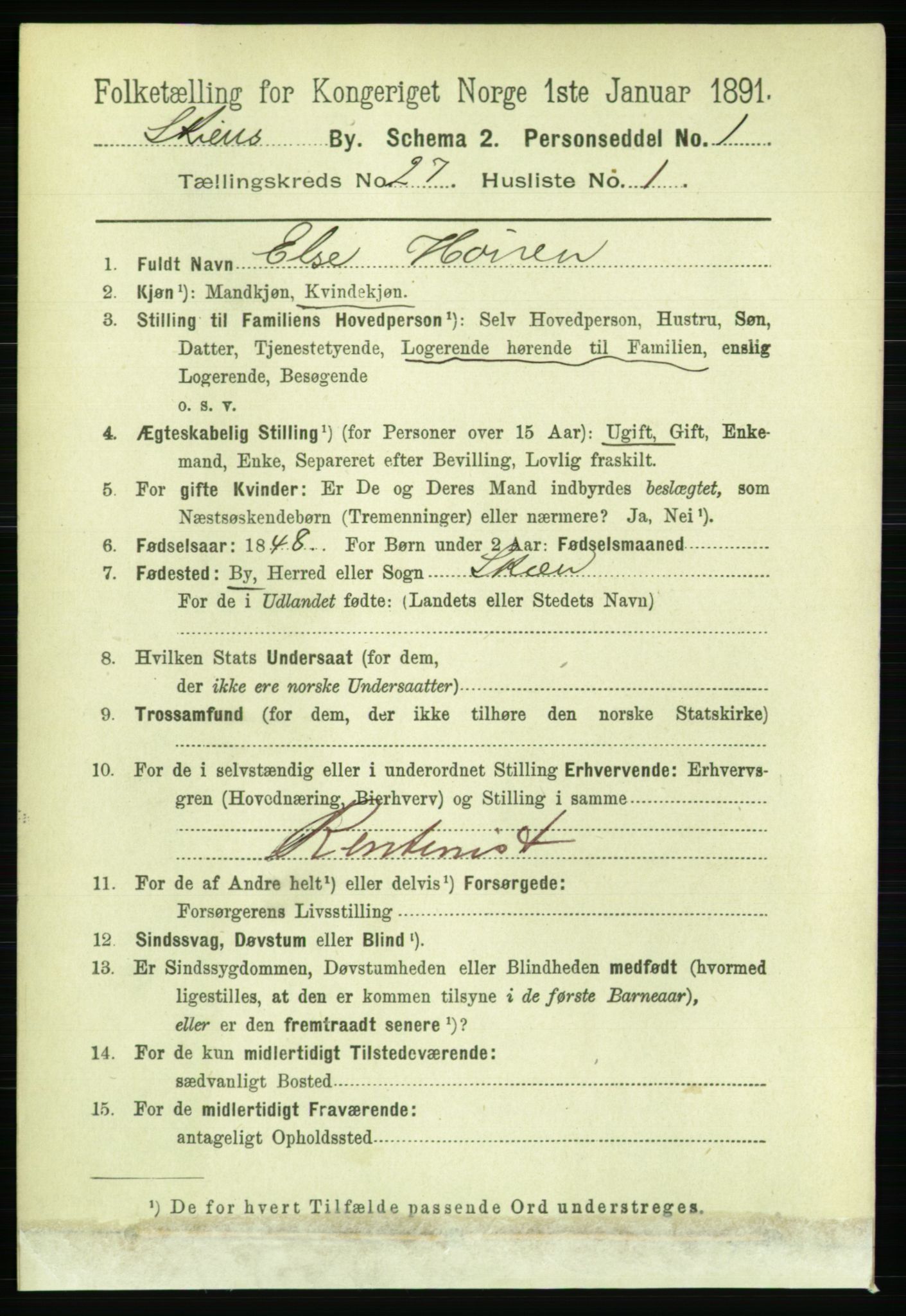 RA, 1891 census for 0806 Skien, 1891, p. 6334