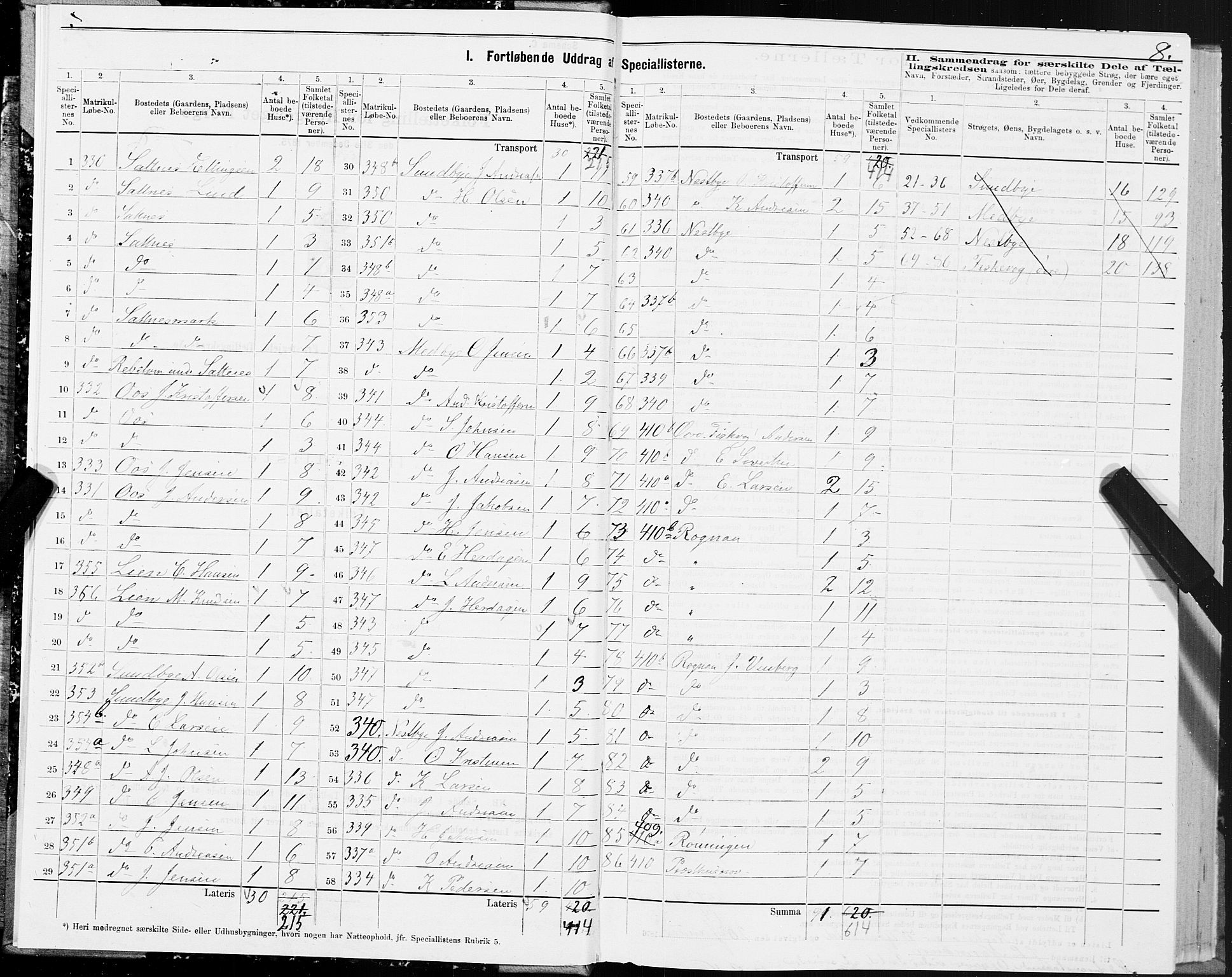 SAT, 1875 census for 1840P Saltdal, 1875, p. 1008