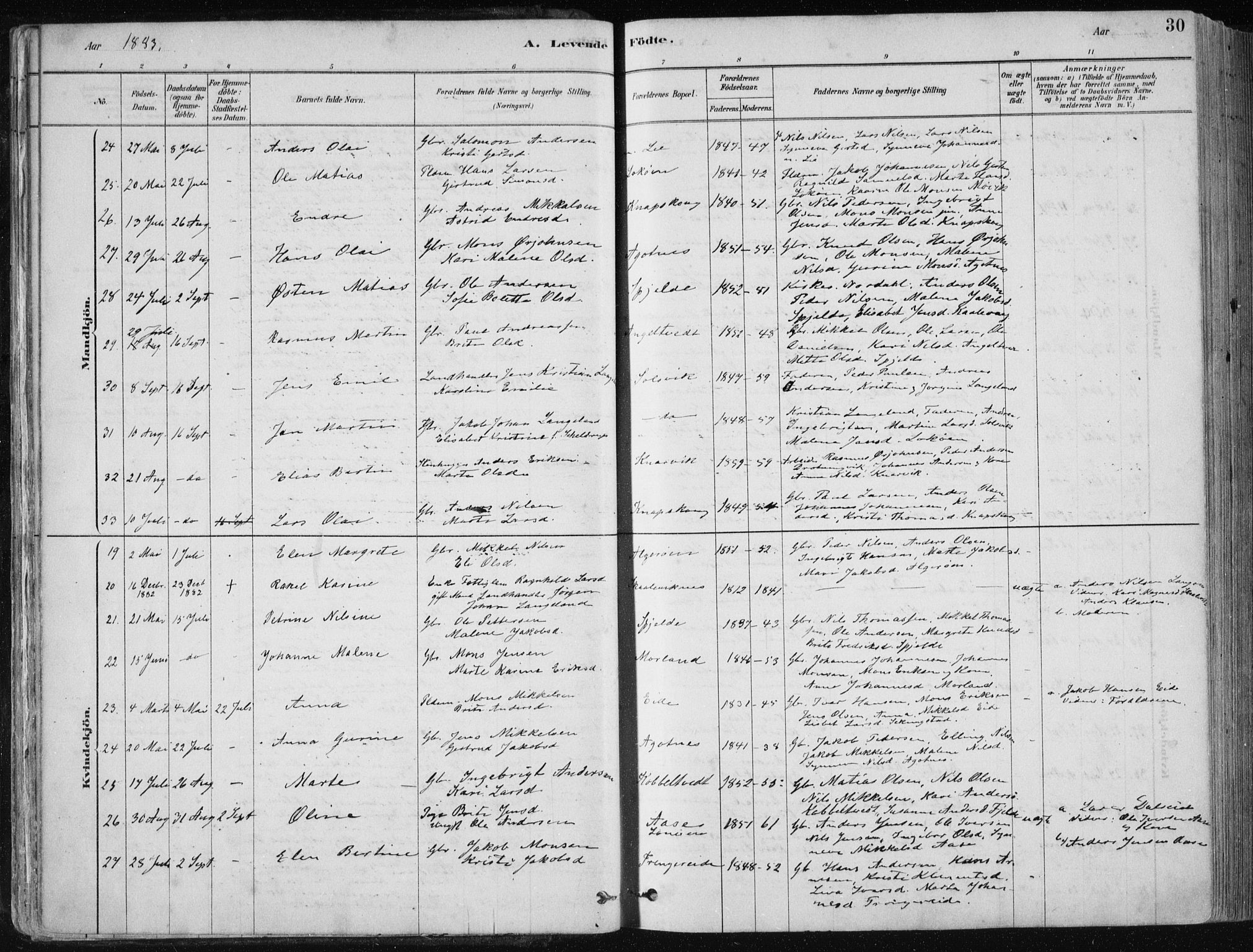 Fjell sokneprestembete, SAB/A-75301/H/Haa: Parish register (official) no. A  8, 1878-1898, p. 30