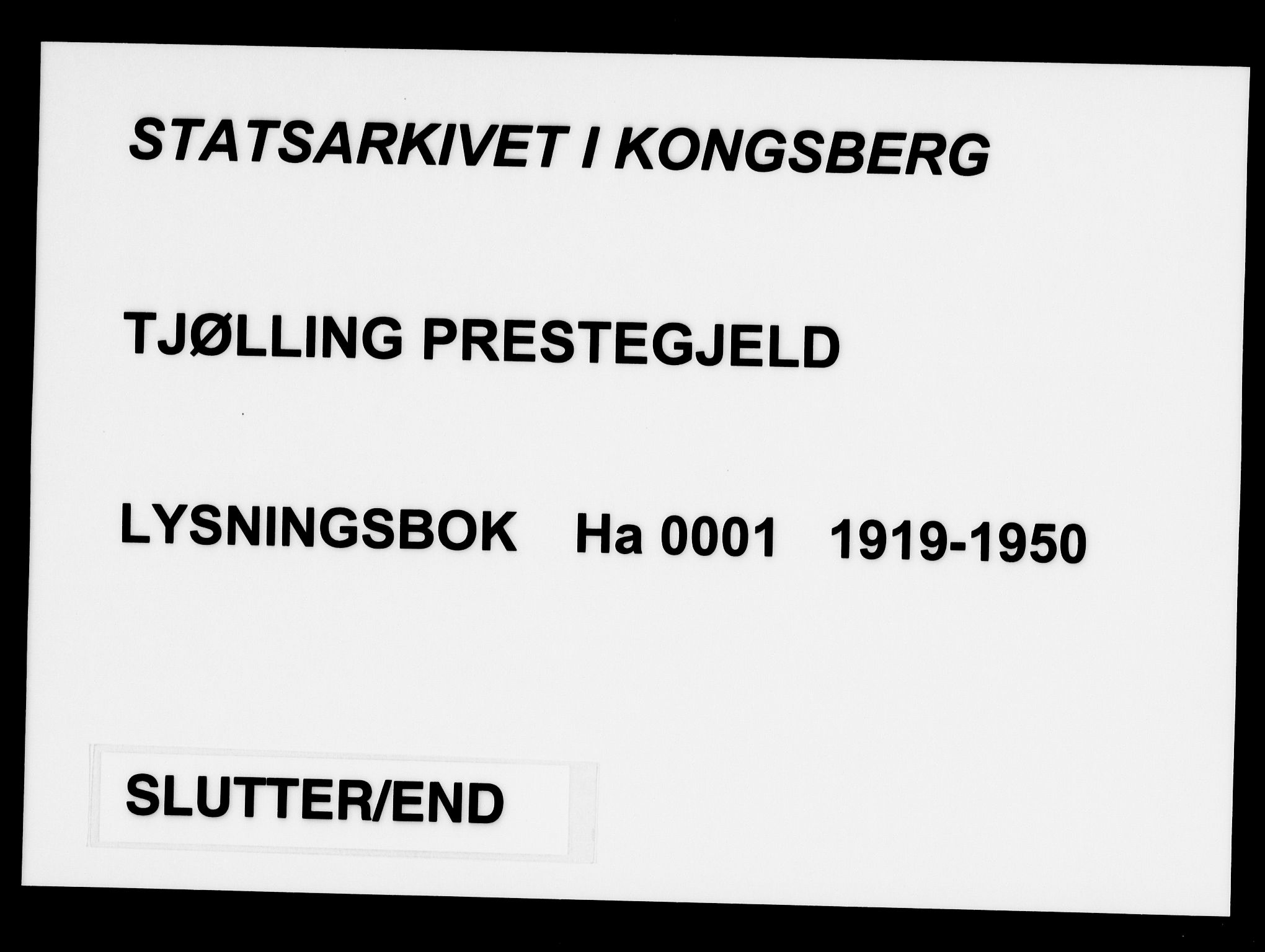 Tjølling kirkebøker, AV/SAKO-A-60/H/Ha/L0001: Banns register no. 1, 1919-1950