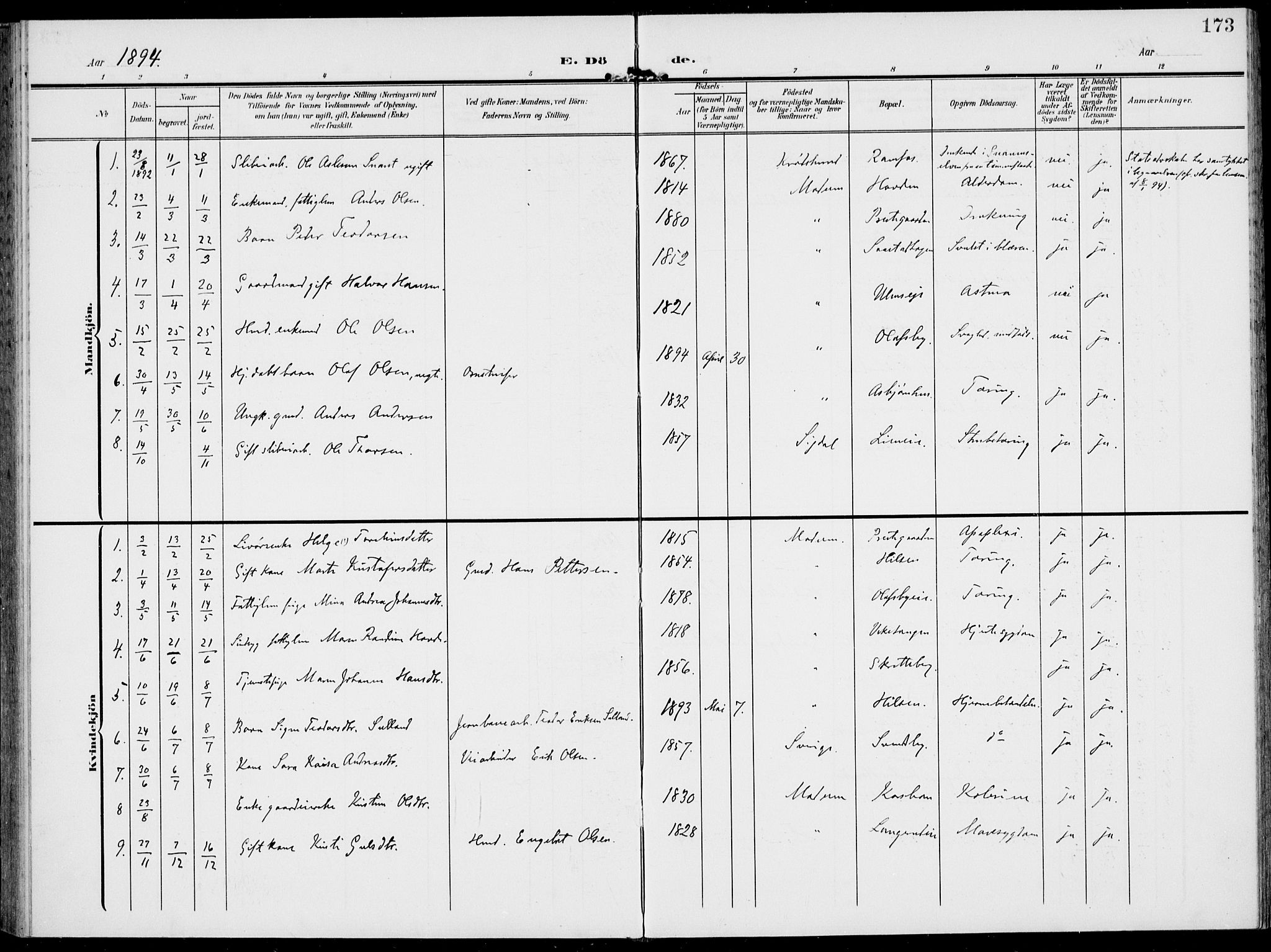 Modum kirkebøker, AV/SAKO-A-234/F/Fa/L0019: Parish register (official) no. 19, 1890-1914, p. 173