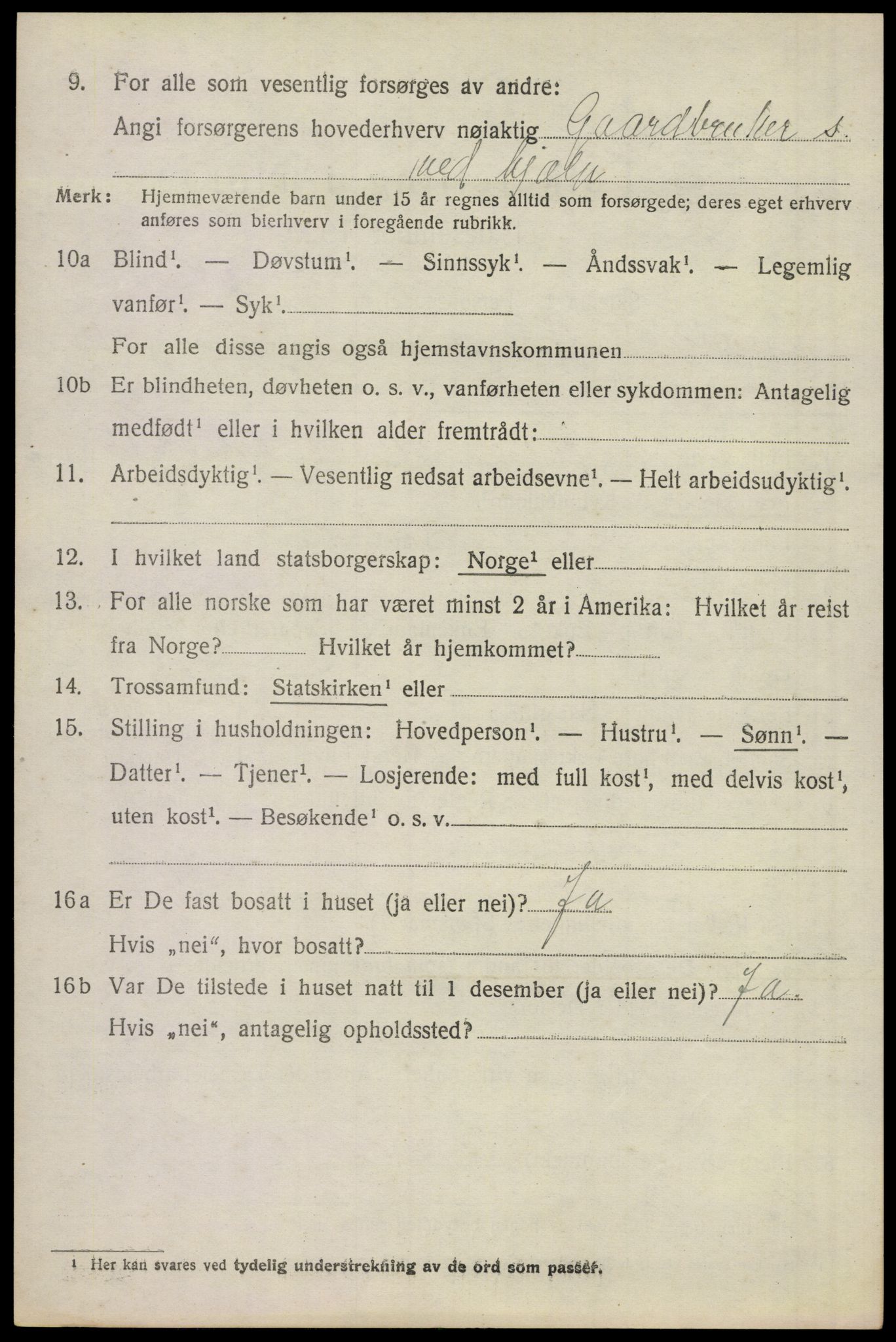 SAKO, 1920 census for Våle, 1920, p. 1109