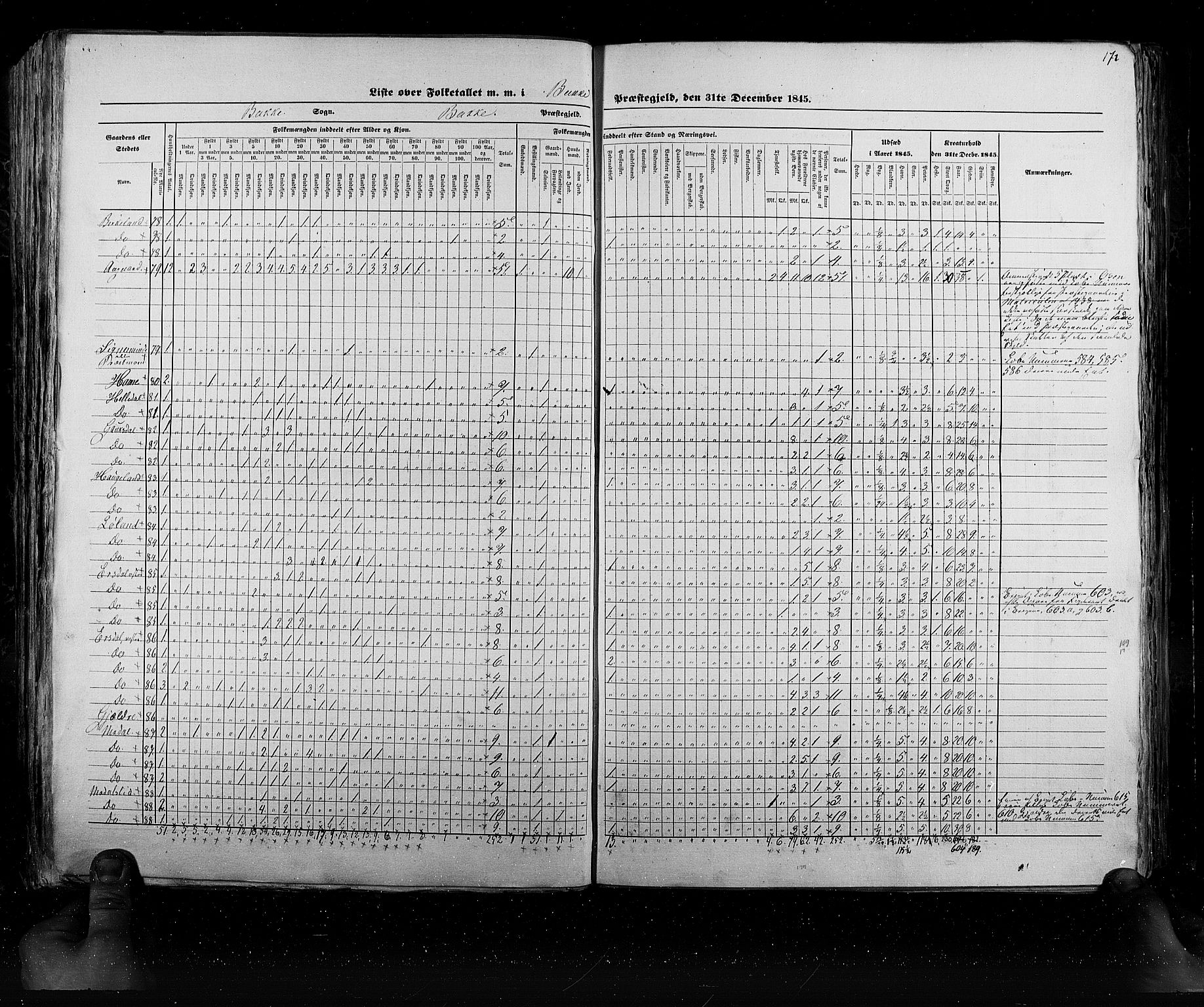 RA, Census 1845, vol. 6: Lister og Mandal amt og Stavanger amt, 1845, p. 172