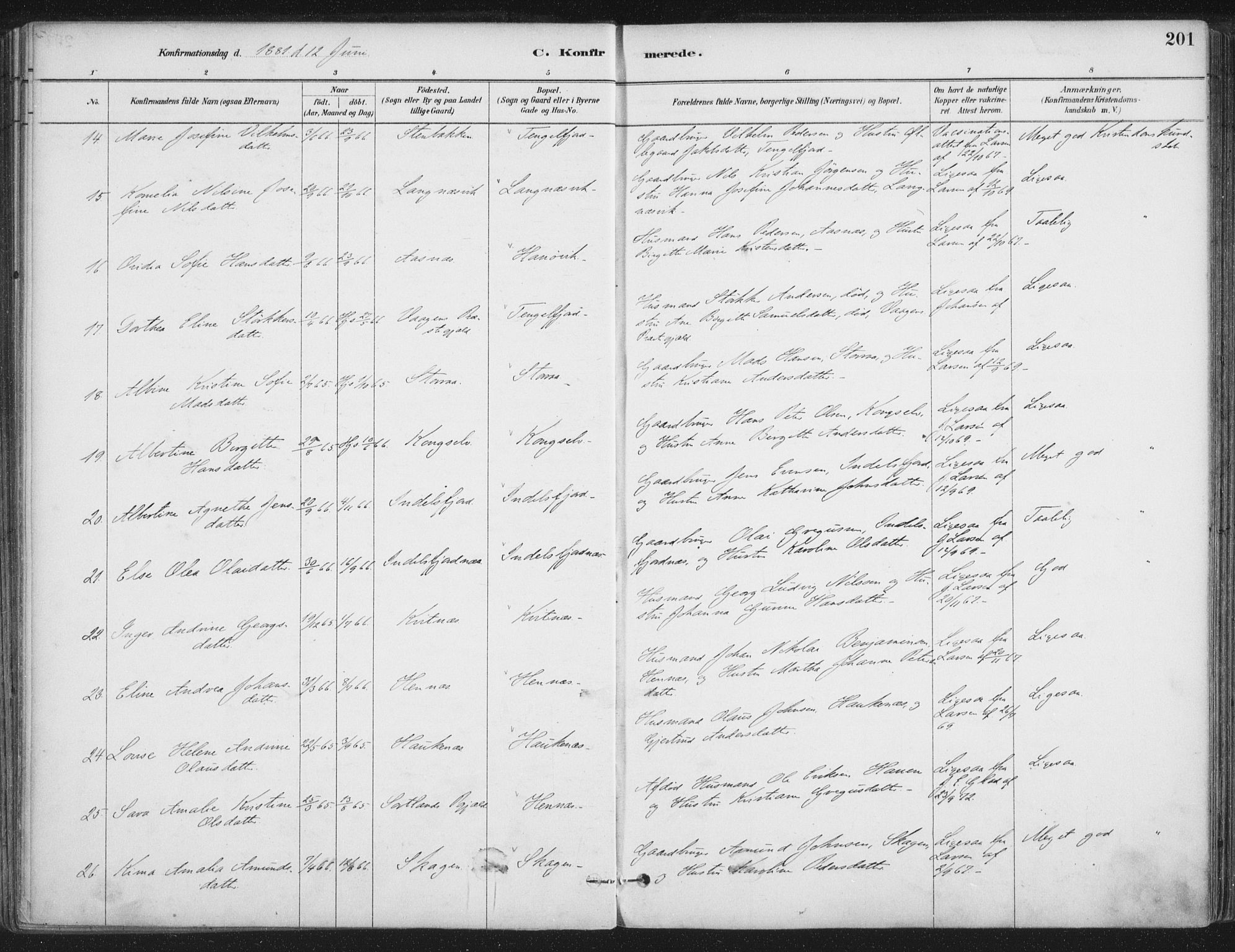 Ministerialprotokoller, klokkerbøker og fødselsregistre - Nordland, AV/SAT-A-1459/888/L1244: Parish register (official) no. 888A10, 1880-1890, p. 201