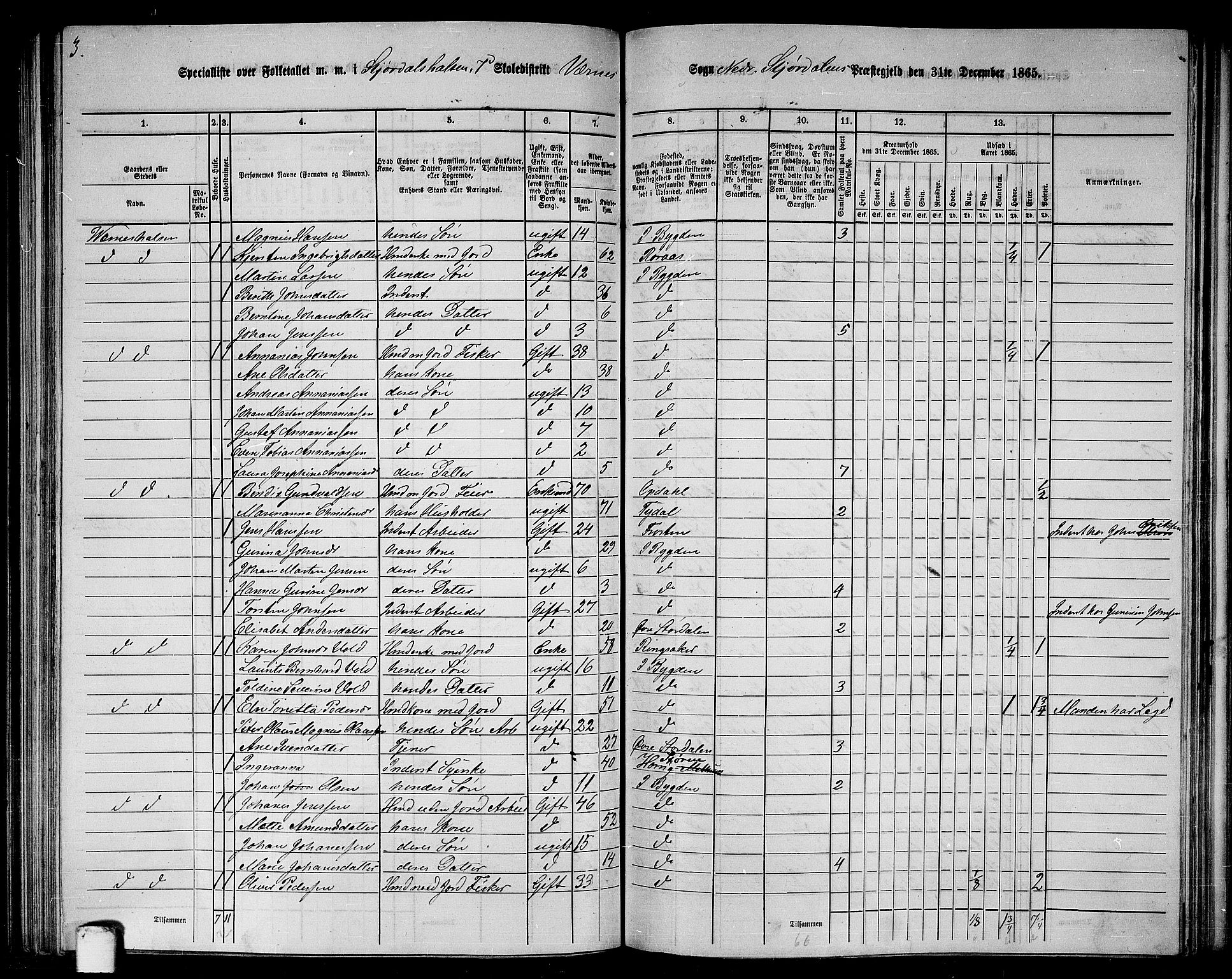 RA, 1865 census for Nedre Stjørdal, 1865, p. 167