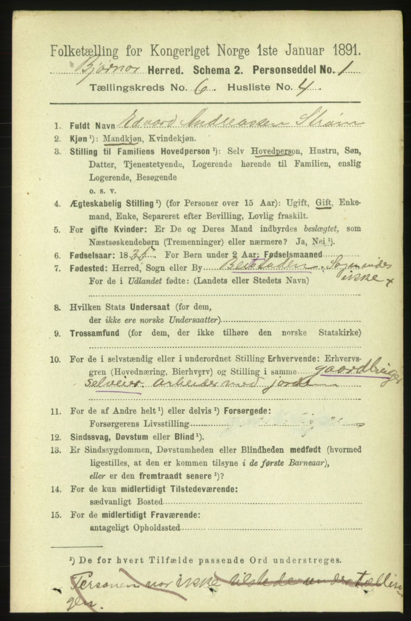 RA, 1891 census for 1632 Bjørnør, 1891, p. 2599