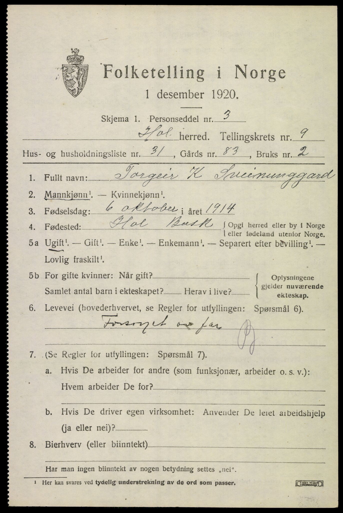 SAKO, 1920 census for Hol (Buskerud), 1920, p. 5299