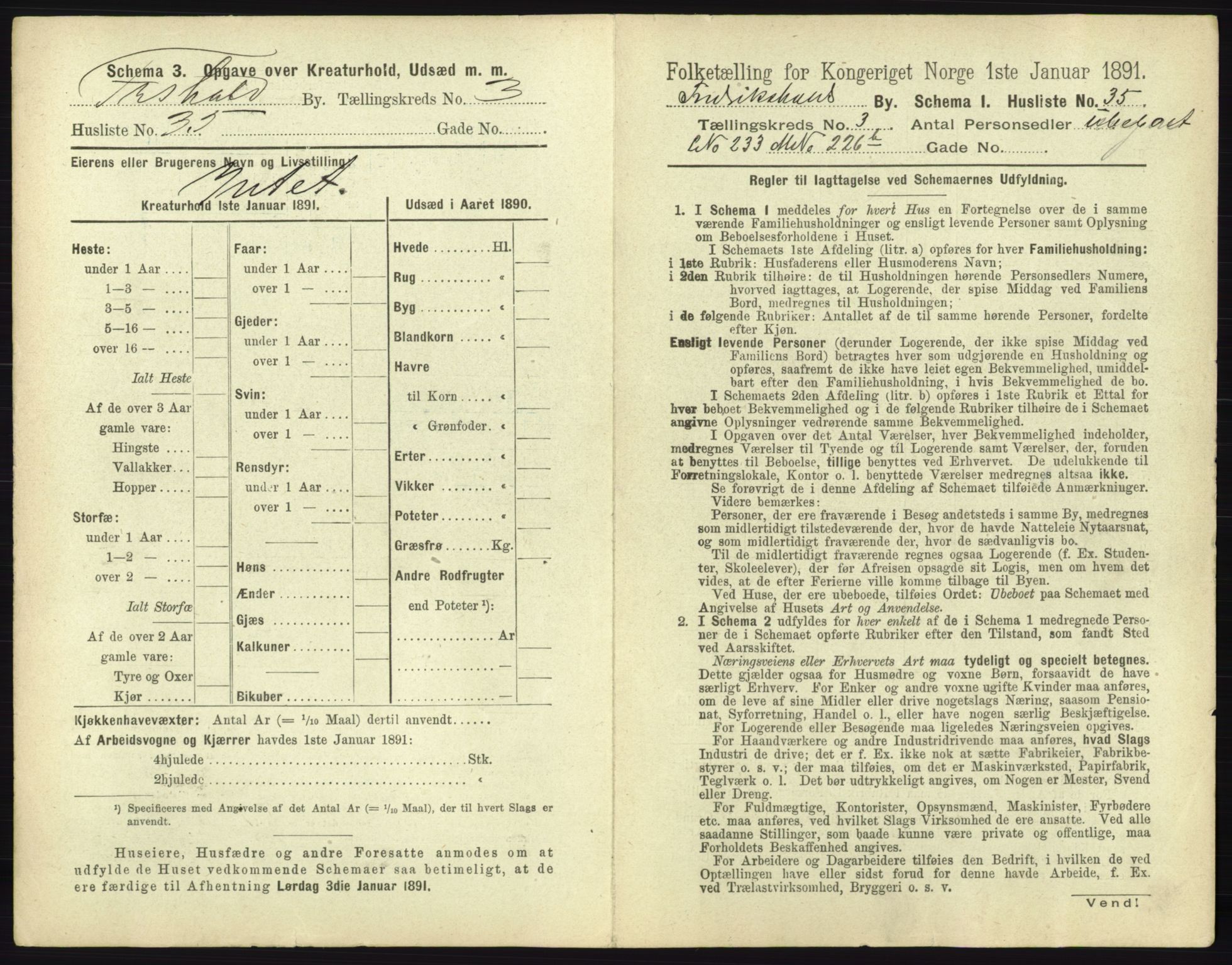 RA, 1891 census for 0101 Fredrikshald, 1891, p. 352