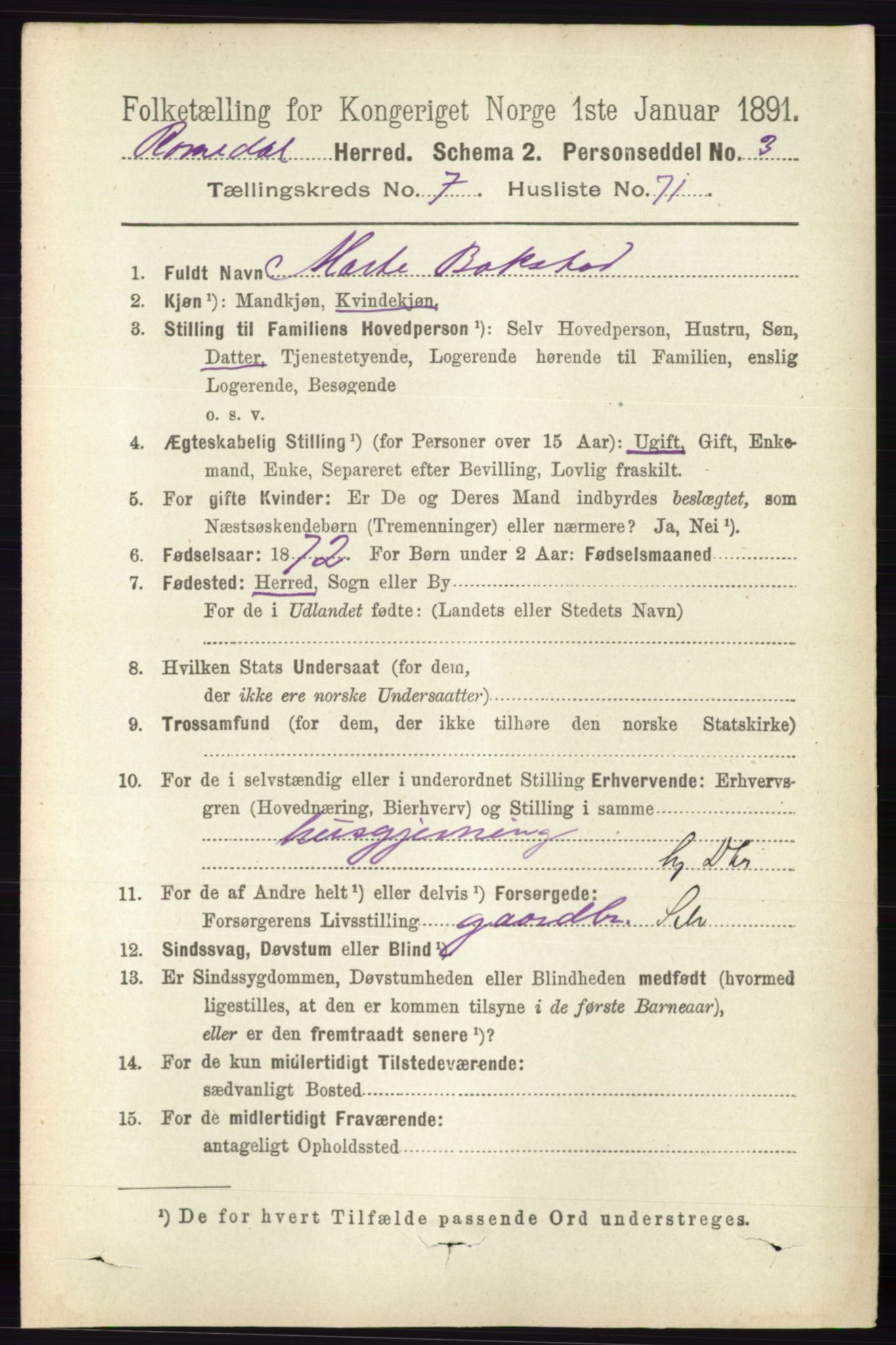 RA, 1891 census for 0416 Romedal, 1891, p. 3899