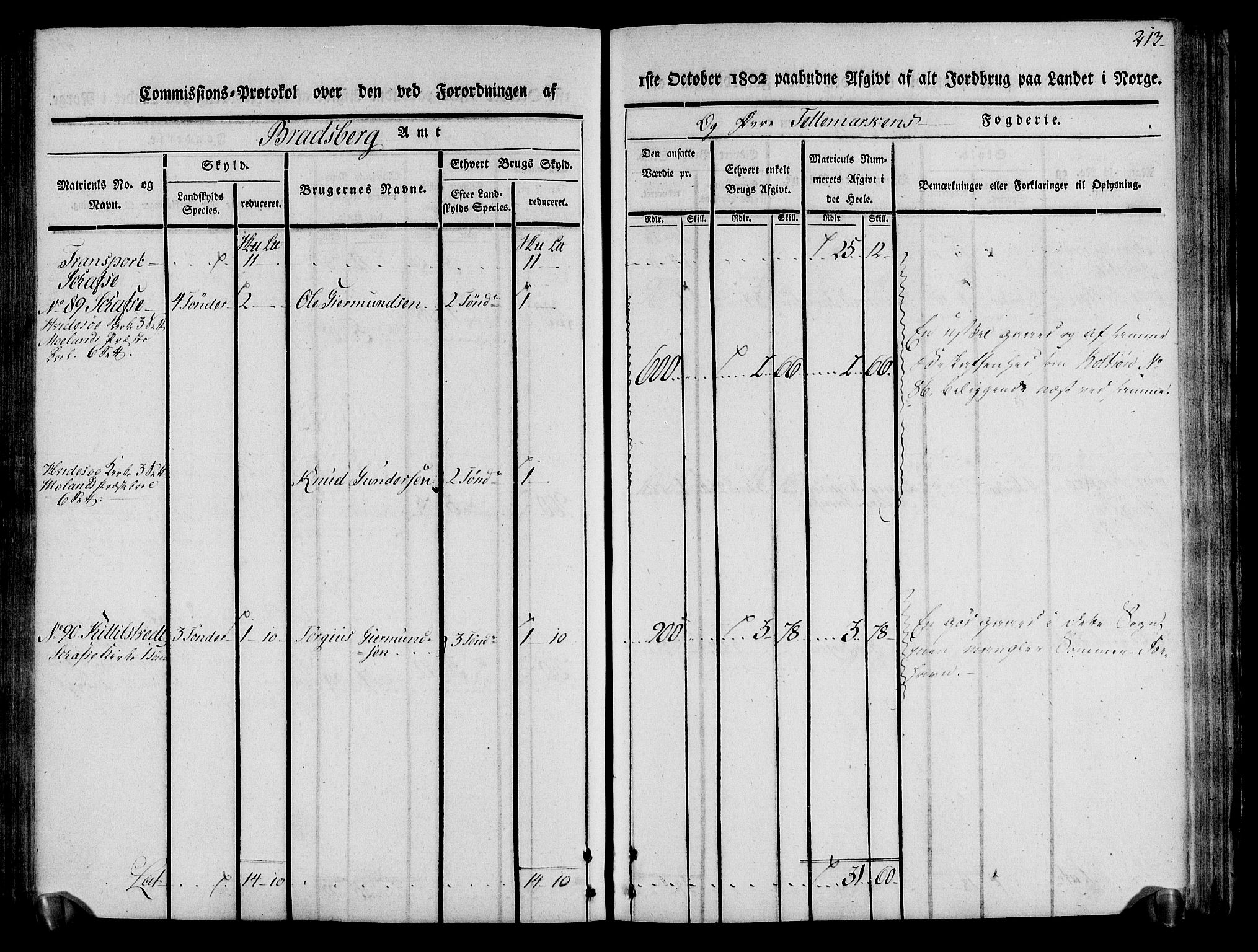 Rentekammeret inntil 1814, Realistisk ordnet avdeling, AV/RA-EA-4070/N/Ne/Nea/L0075: Øvre Telemarken fogderi. Kommisjonsprotokoll for fogderiets vestre del - Kviteseid, Vinje, Moland [):Fyresdal] og Lårdal prestegjeld., 1803, p. 215