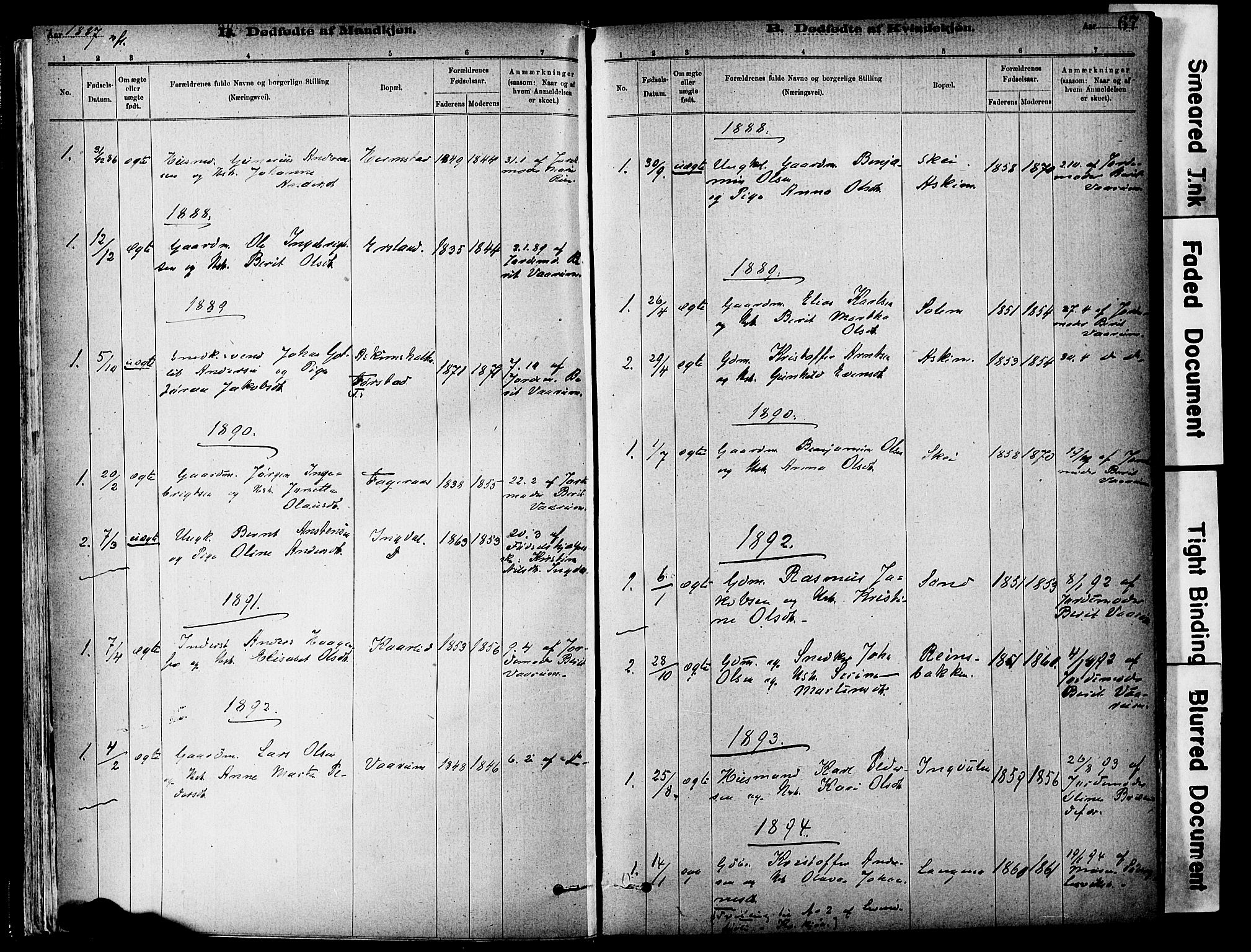Ministerialprotokoller, klokkerbøker og fødselsregistre - Sør-Trøndelag, SAT/A-1456/646/L0615: Parish register (official) no. 646A13, 1885-1900, p. 67