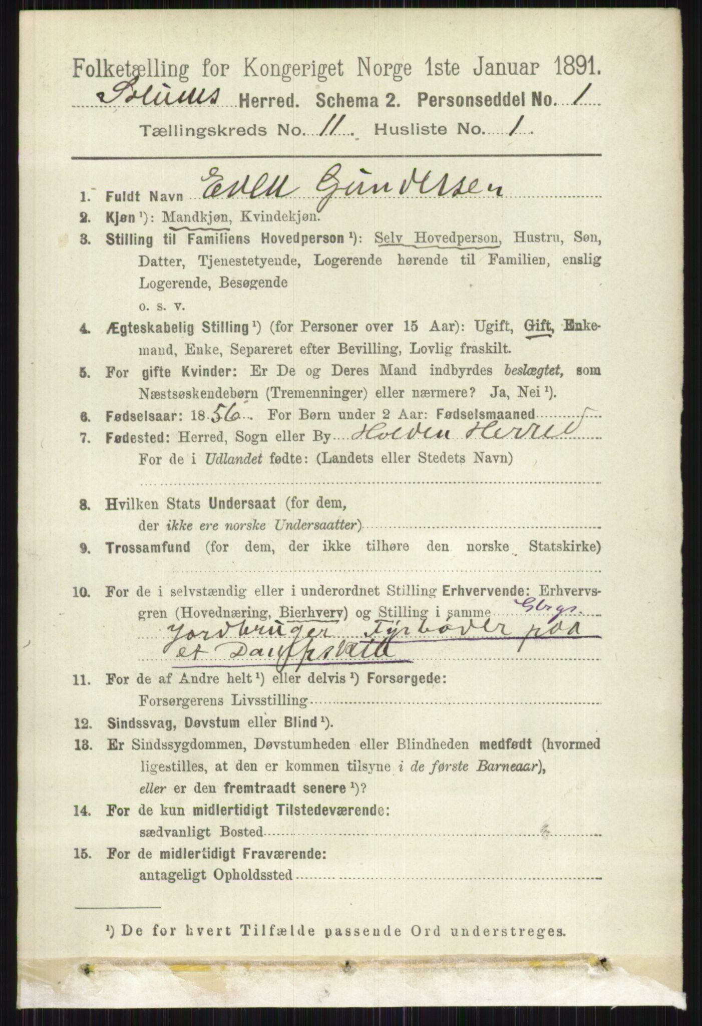 RA, 1891 census for 0818 Solum, 1891, p. 5287