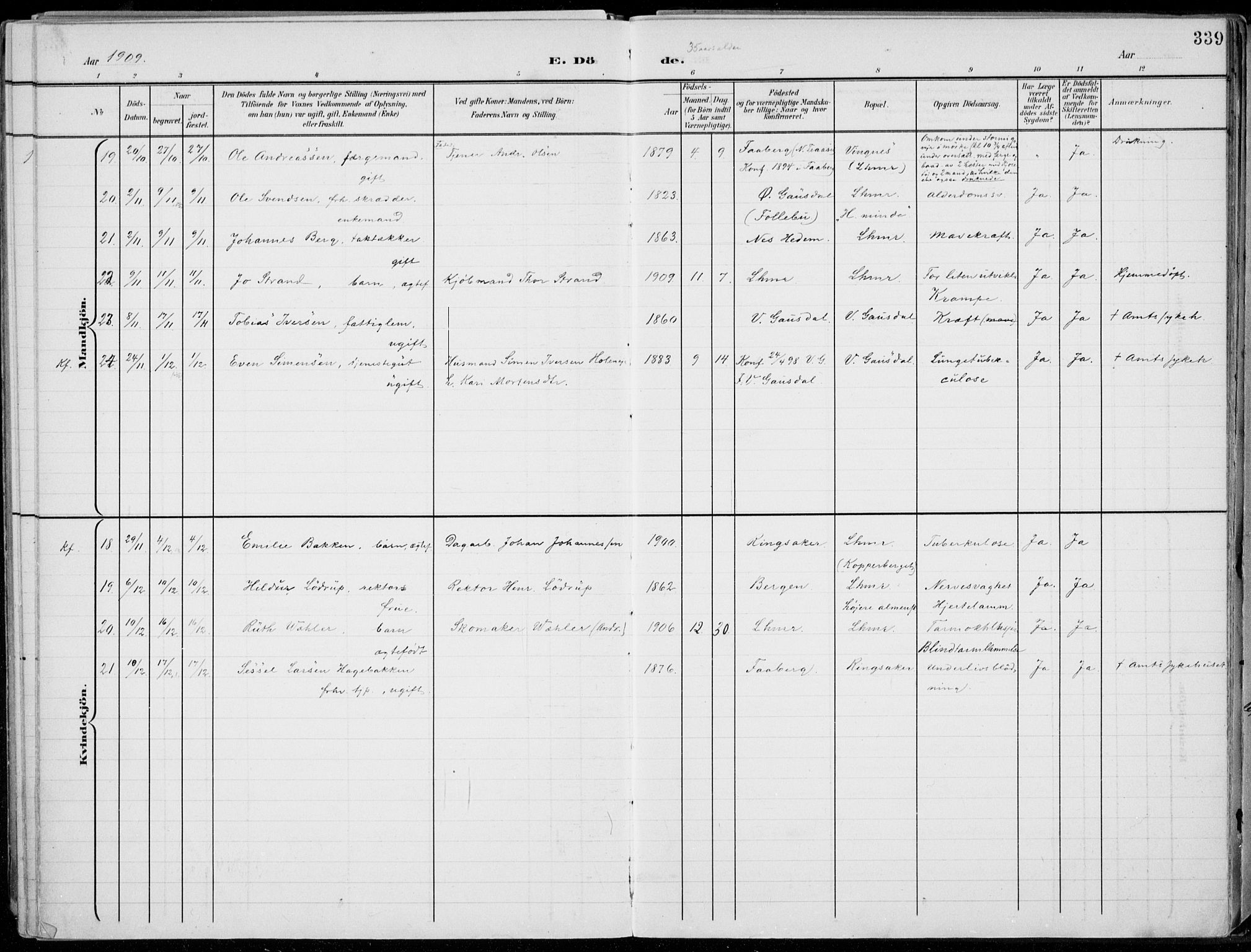 Lillehammer prestekontor, SAH/PREST-088/H/Ha/Haa/L0001: Parish register (official) no. 1, 1901-1916, p. 339