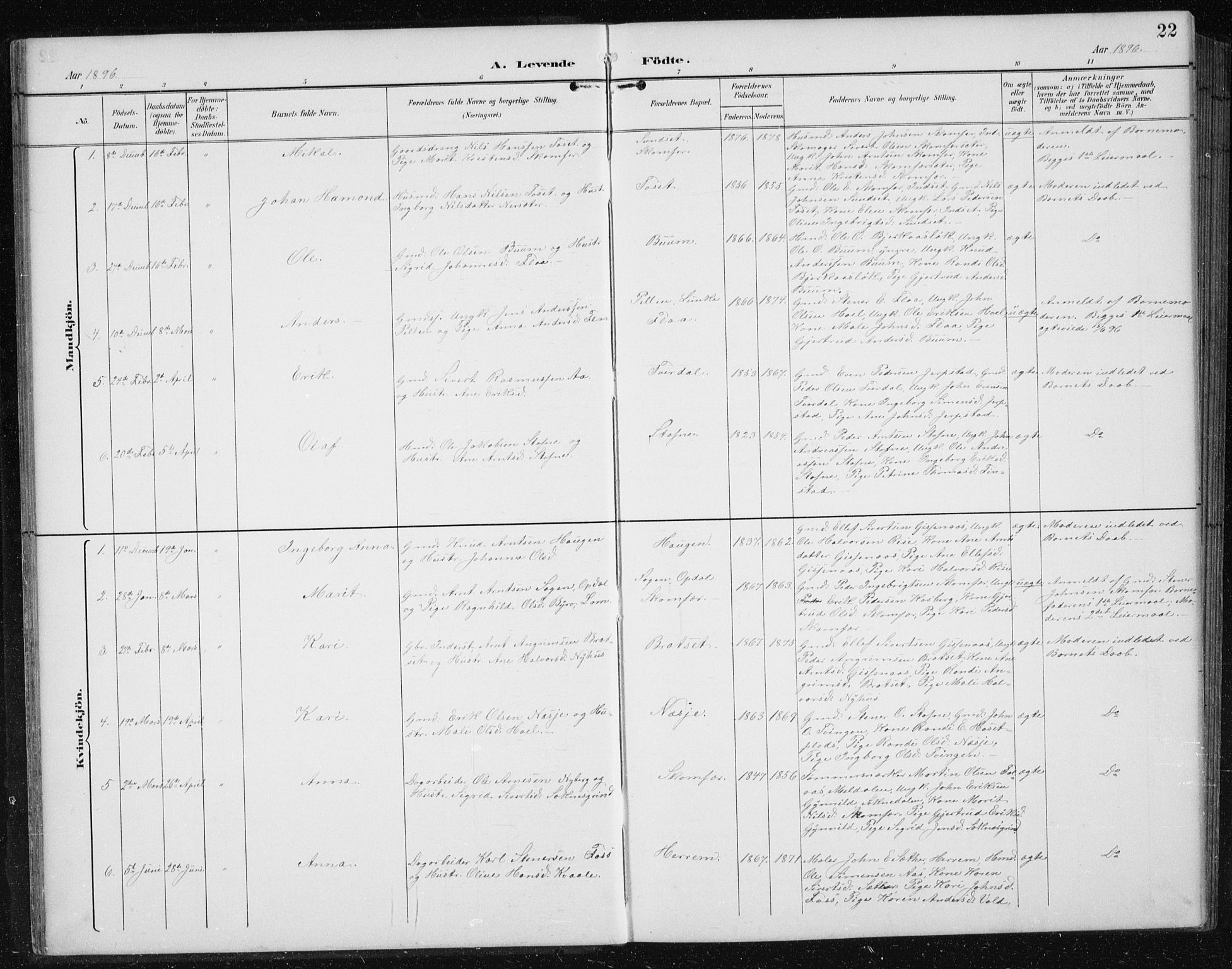 Ministerialprotokoller, klokkerbøker og fødselsregistre - Sør-Trøndelag, SAT/A-1456/674/L0876: Parish register (copy) no. 674C03, 1892-1912, p. 22