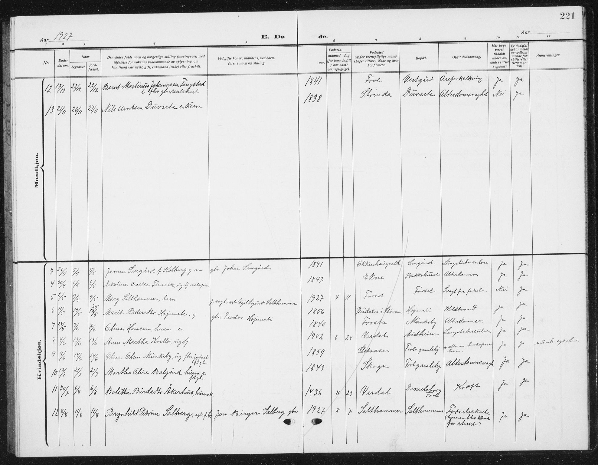 Ministerialprotokoller, klokkerbøker og fødselsregistre - Nord-Trøndelag, AV/SAT-A-1458/721/L0209: Parish register (copy) no. 721C02, 1918-1940, p. 221