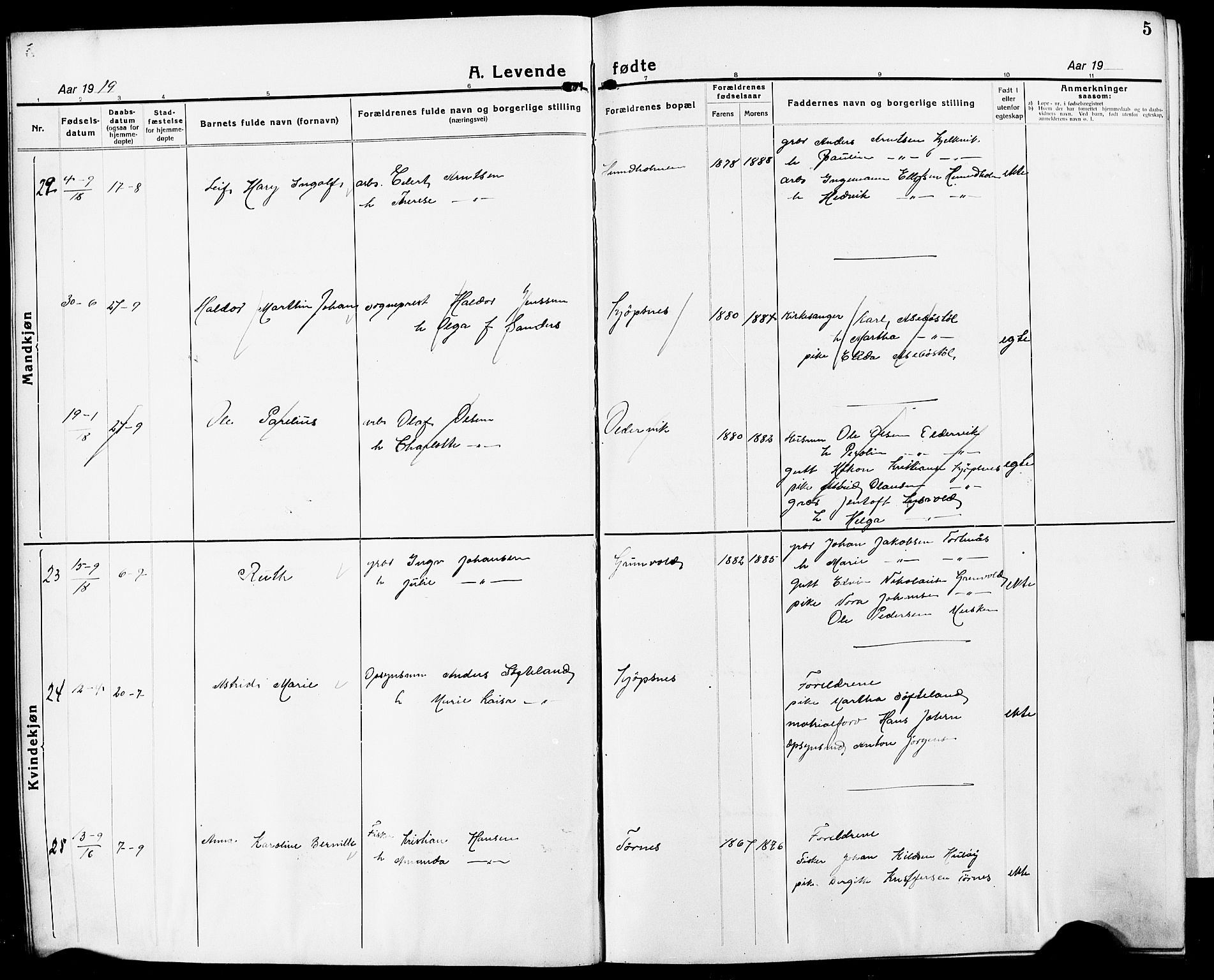 Ministerialprotokoller, klokkerbøker og fødselsregistre - Nordland, AV/SAT-A-1459/861/L0878: Parish register (copy) no. 861C04, 1917-1928, p. 5