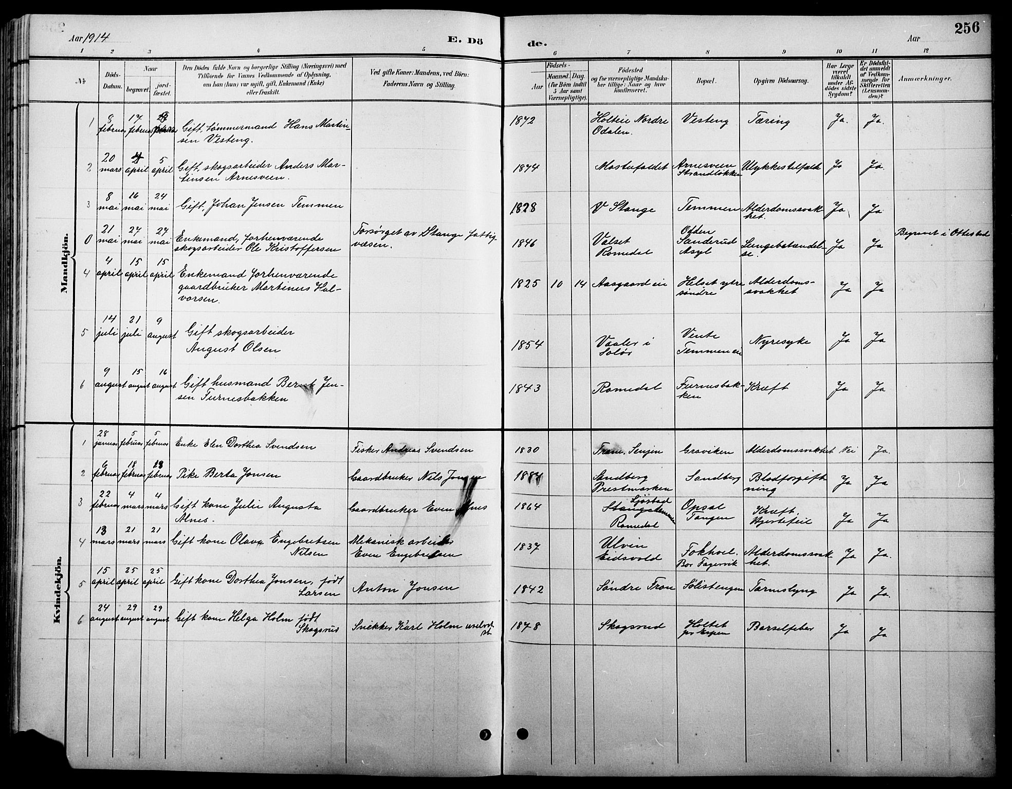 Stange prestekontor, SAH/PREST-002/L/L0011: Parish register (copy) no. 11, 1895-1917, p. 256