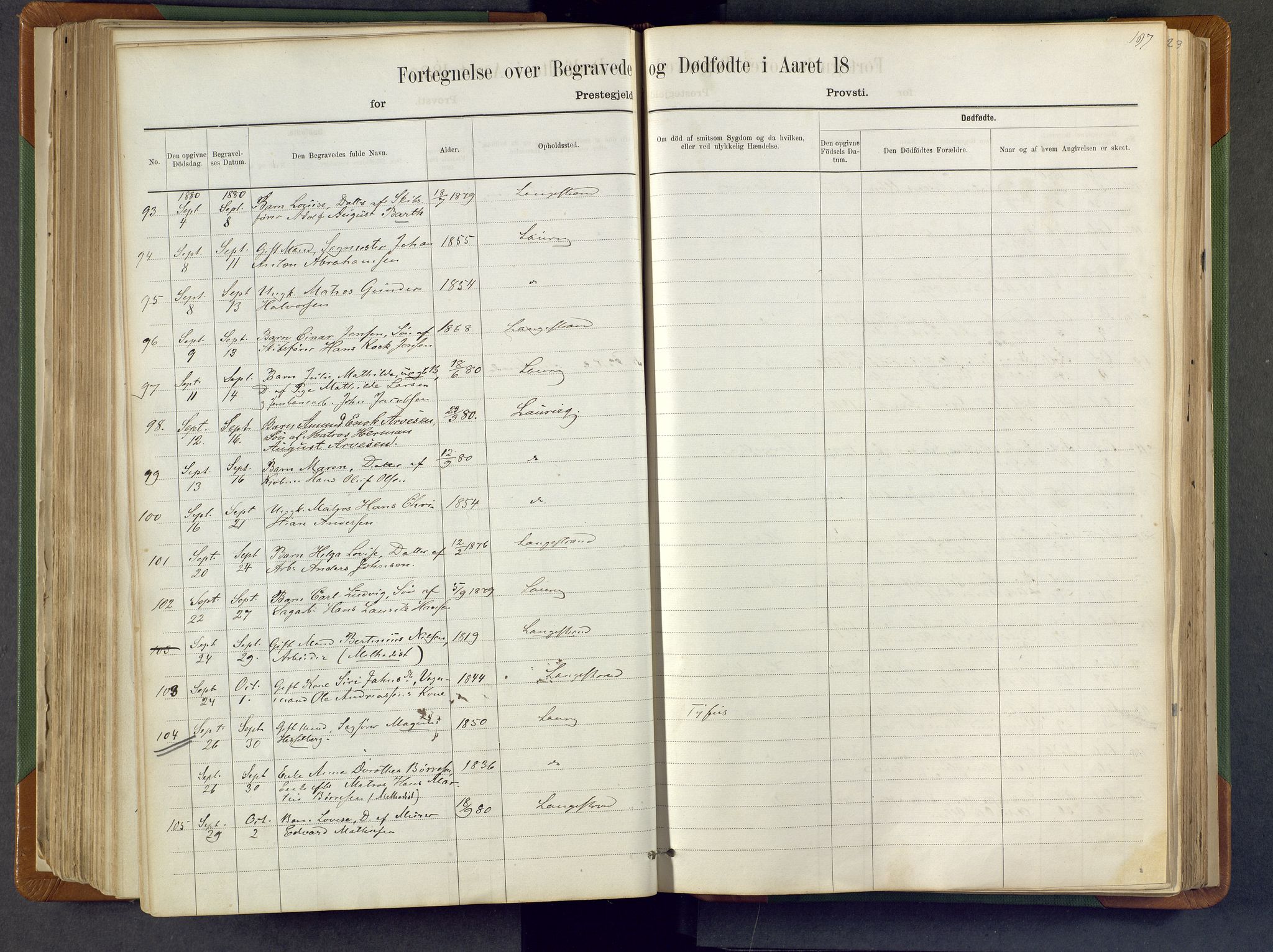 Larvik kirkebøker, SAKO/A-352/F/Fa/L0007: Parish register (official) no. I 7, 1871-1883, p. 197