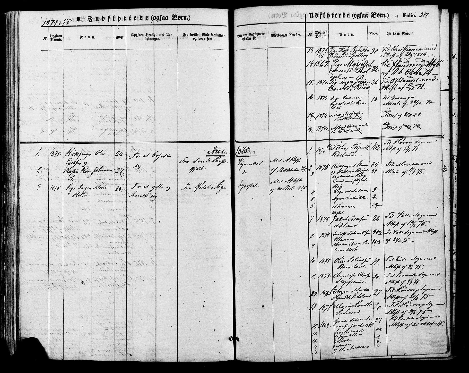 Nord-Audnedal sokneprestkontor, SAK/1111-0032/F/Fa/Fab/L0002: Parish register (official) no. A 2, 1859-1882, p. 217
