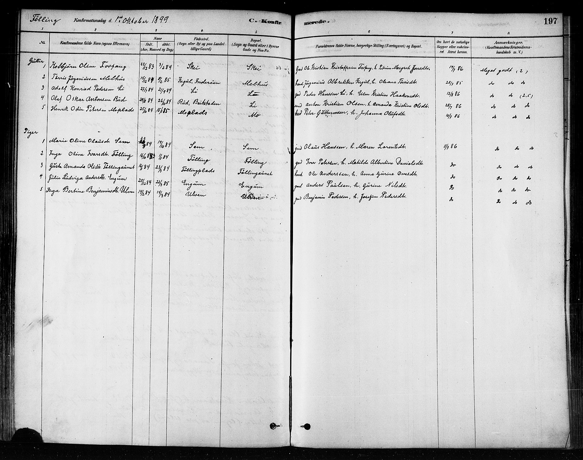 Ministerialprotokoller, klokkerbøker og fødselsregistre - Nord-Trøndelag, SAT/A-1458/746/L0449: Parish register (official) no. 746A07 /3, 1878-1899, p. 197