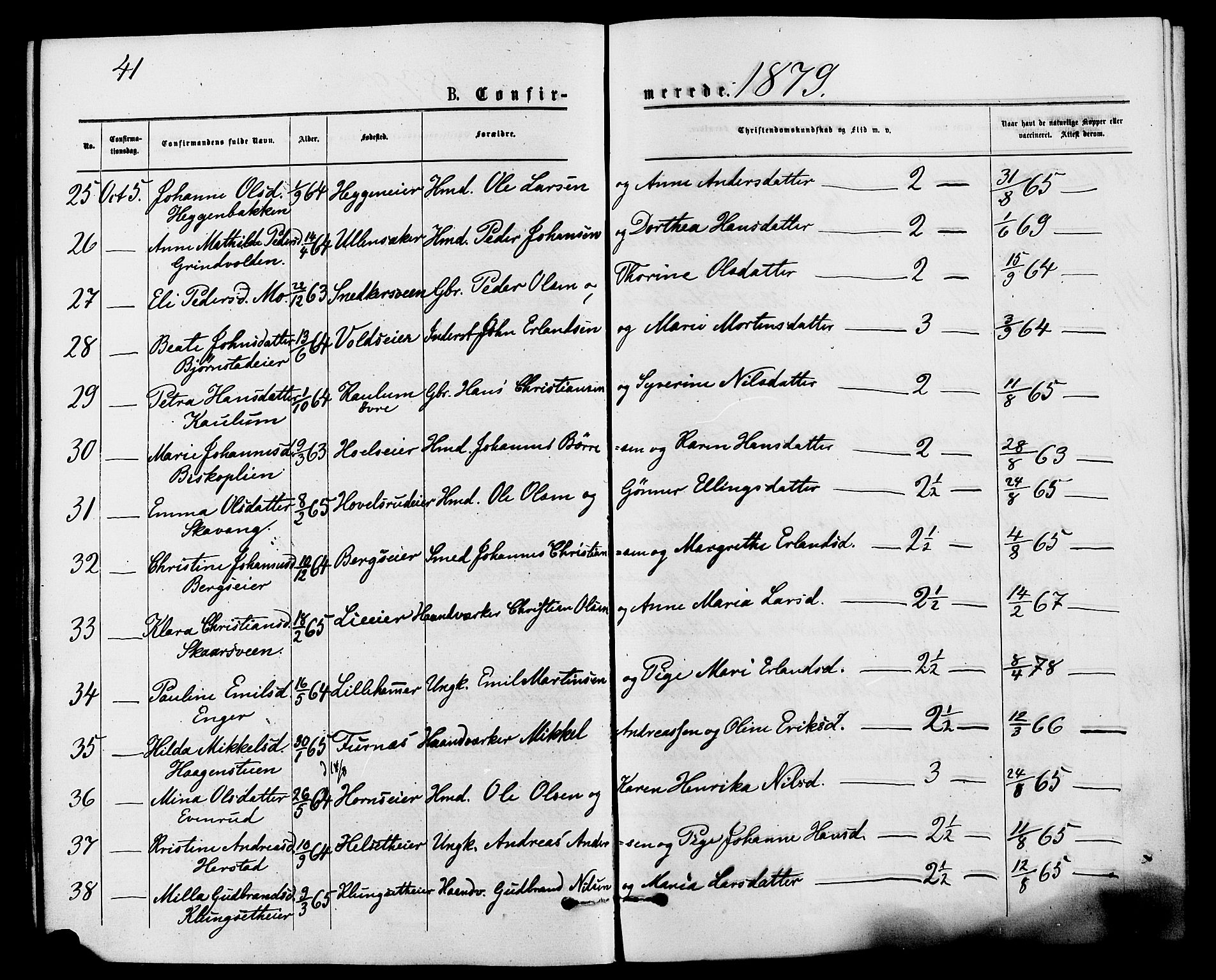 Nes prestekontor, Hedmark, AV/SAH-PREST-020/K/Ka/L0006: Parish register (official) no. 6, 1873-1886, p. 41