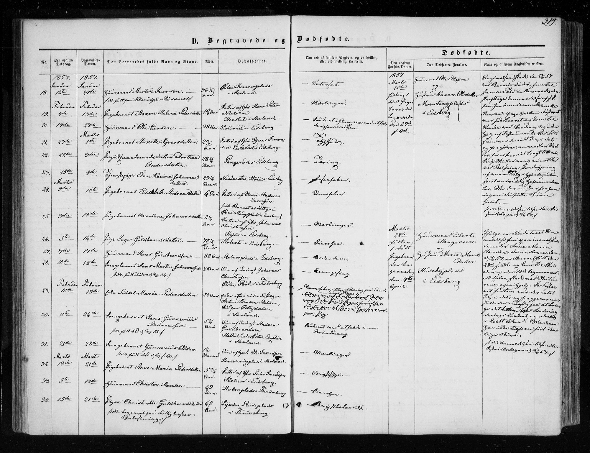 Eidsberg prestekontor Kirkebøker, SAO/A-10905/F/Fa/L0010.b: Parish register (official) no. I 10B, 1857-1866, p. 319
