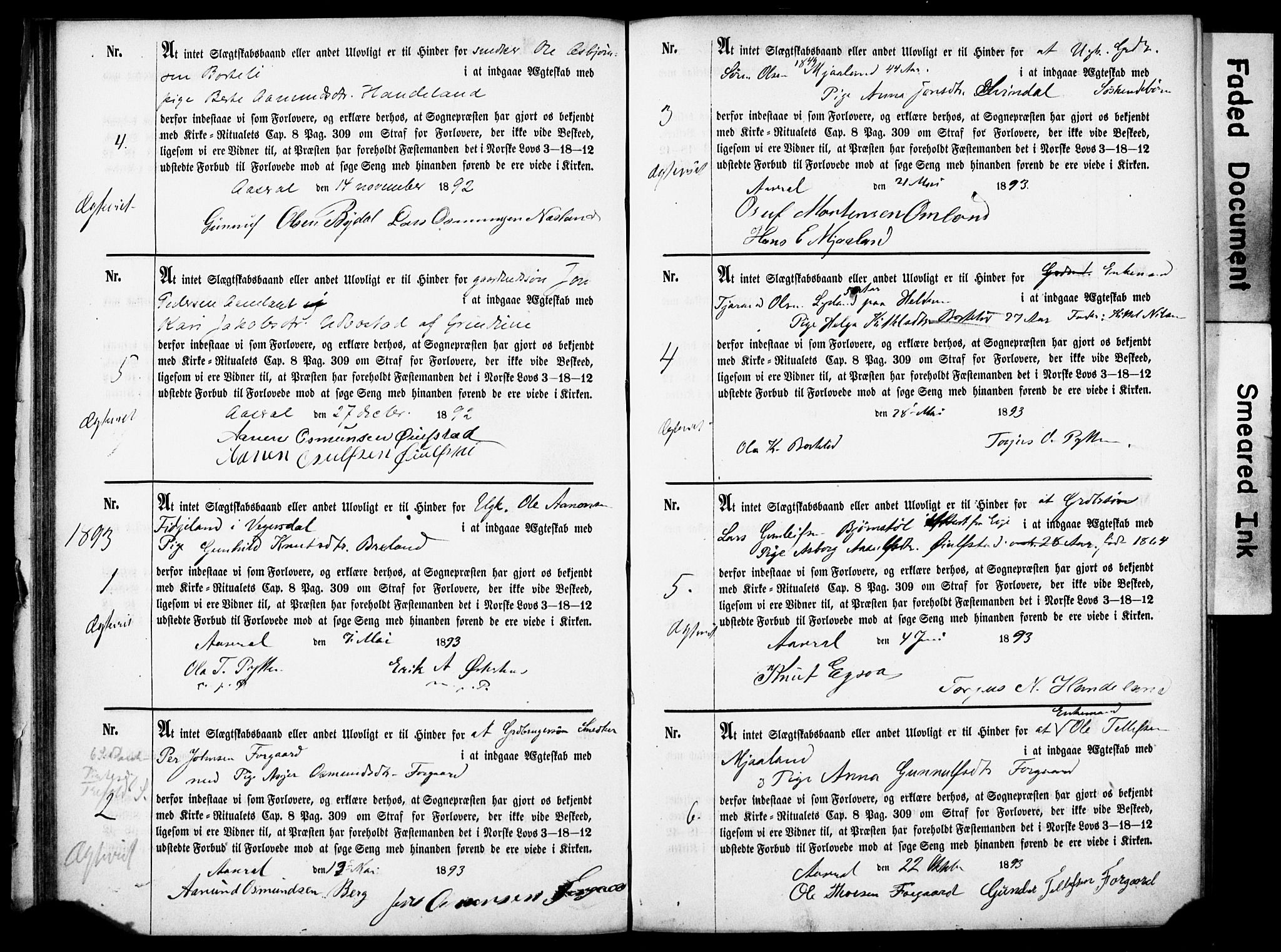 Åseral sokneprestkontor, AV/SAK-1111-0051/F/Fe/L0001: Best man's statements no. II.5.1, 1858-1911