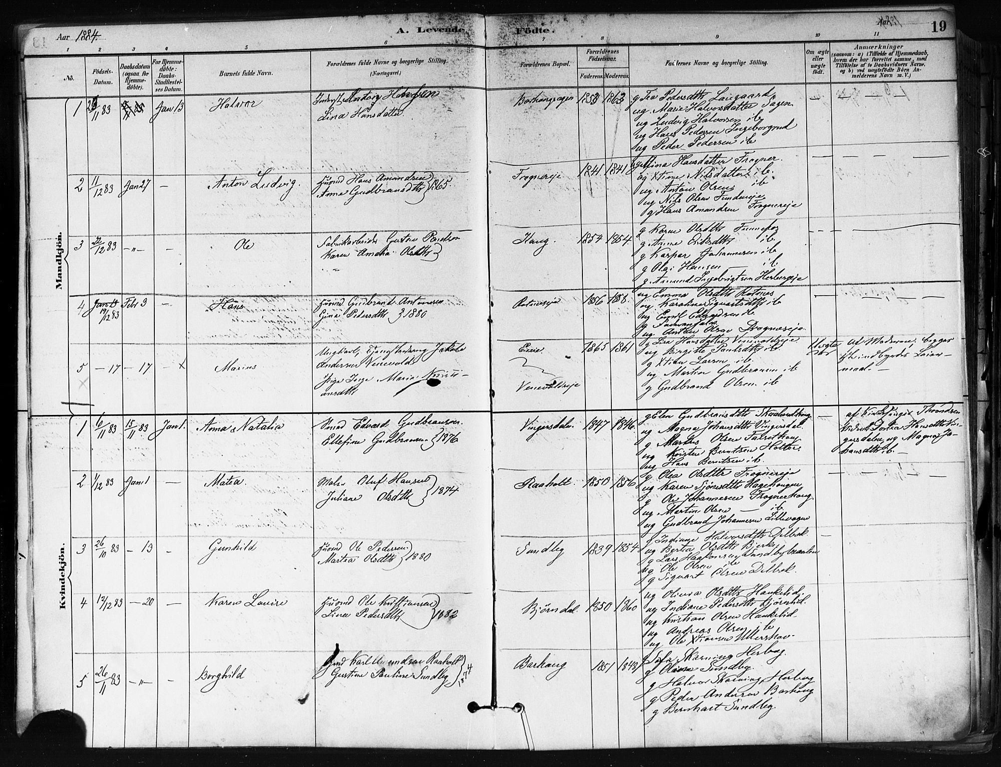 Nes prestekontor Kirkebøker, AV/SAO-A-10410/F/Fa/L0010: Parish register (official) no. I 10, 1883-1898, p. 19