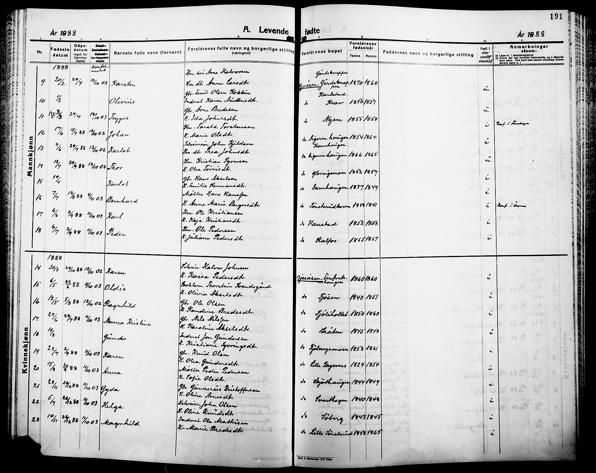 Åsnes prestekontor, AV/SAH-PREST-042/H/Ha/Haa/L0000B: Parish register (official), 1870-1889, p. 191