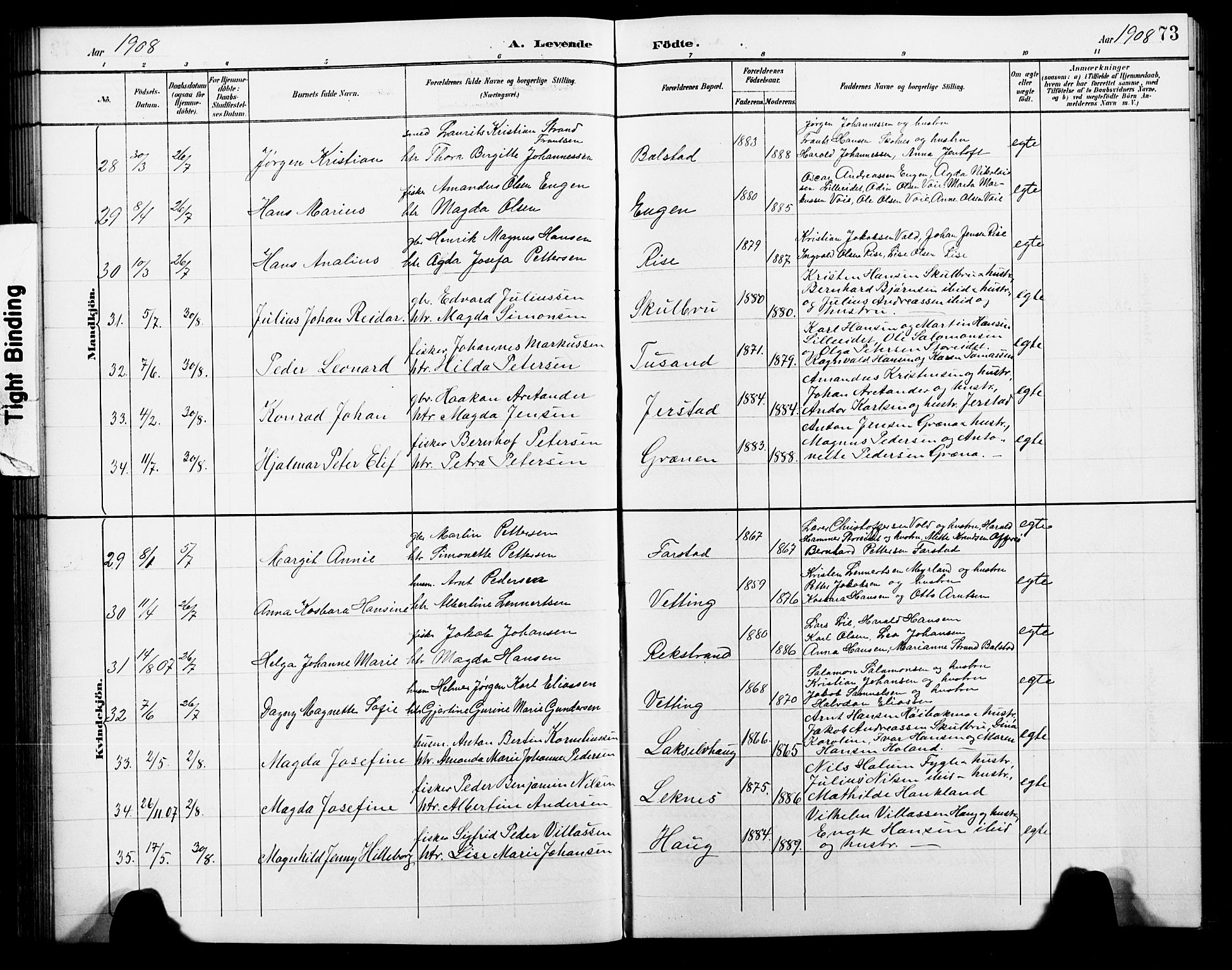 Ministerialprotokoller, klokkerbøker og fødselsregistre - Nordland, AV/SAT-A-1459/881/L1168: Parish register (copy) no. 881C05, 1900-1911, p. 73