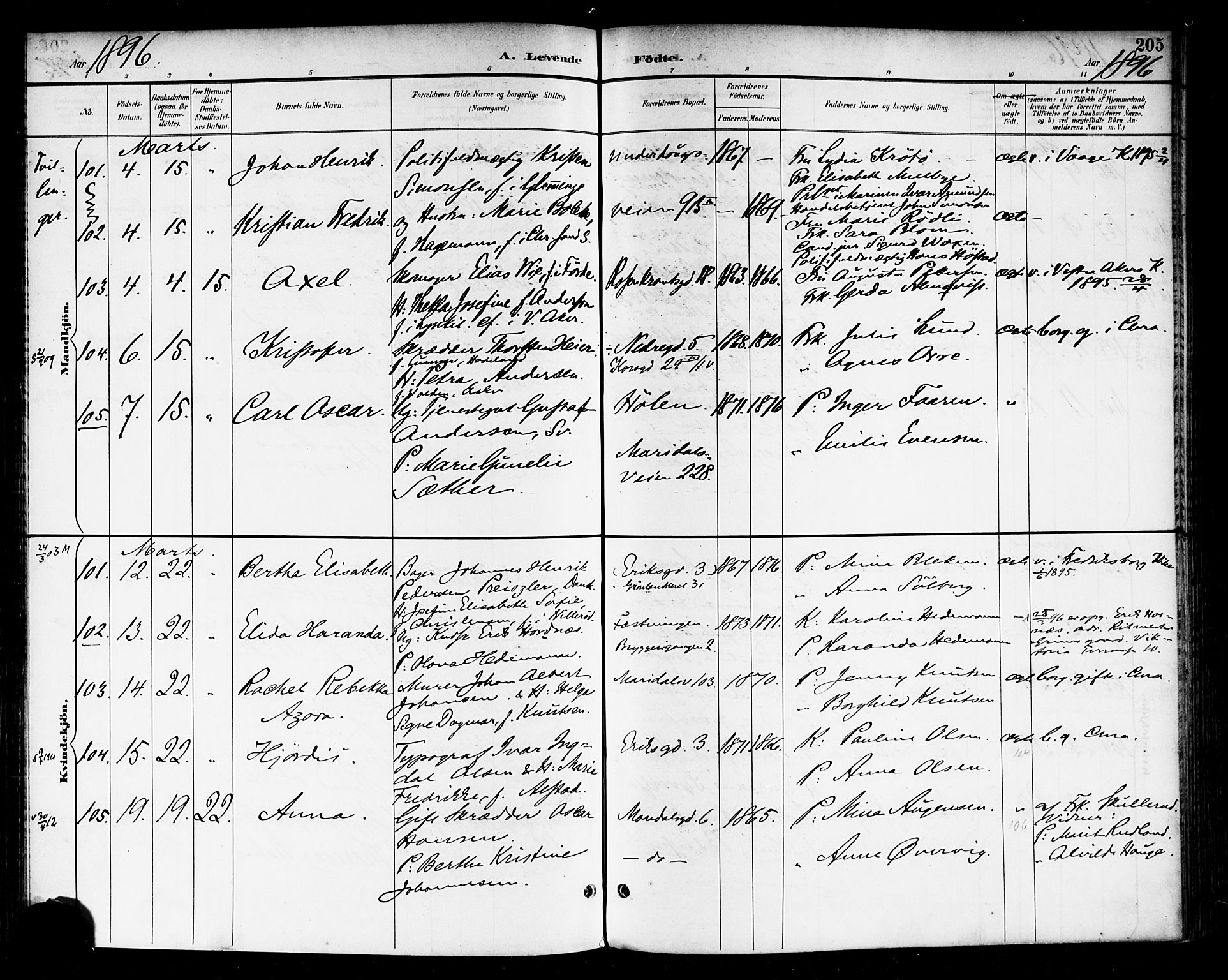 Rikshospitalet prestekontor Kirkebøker, SAO/A-10309b/F/L0009: Parish register (official) no. 9, 1894-1897, p. 205