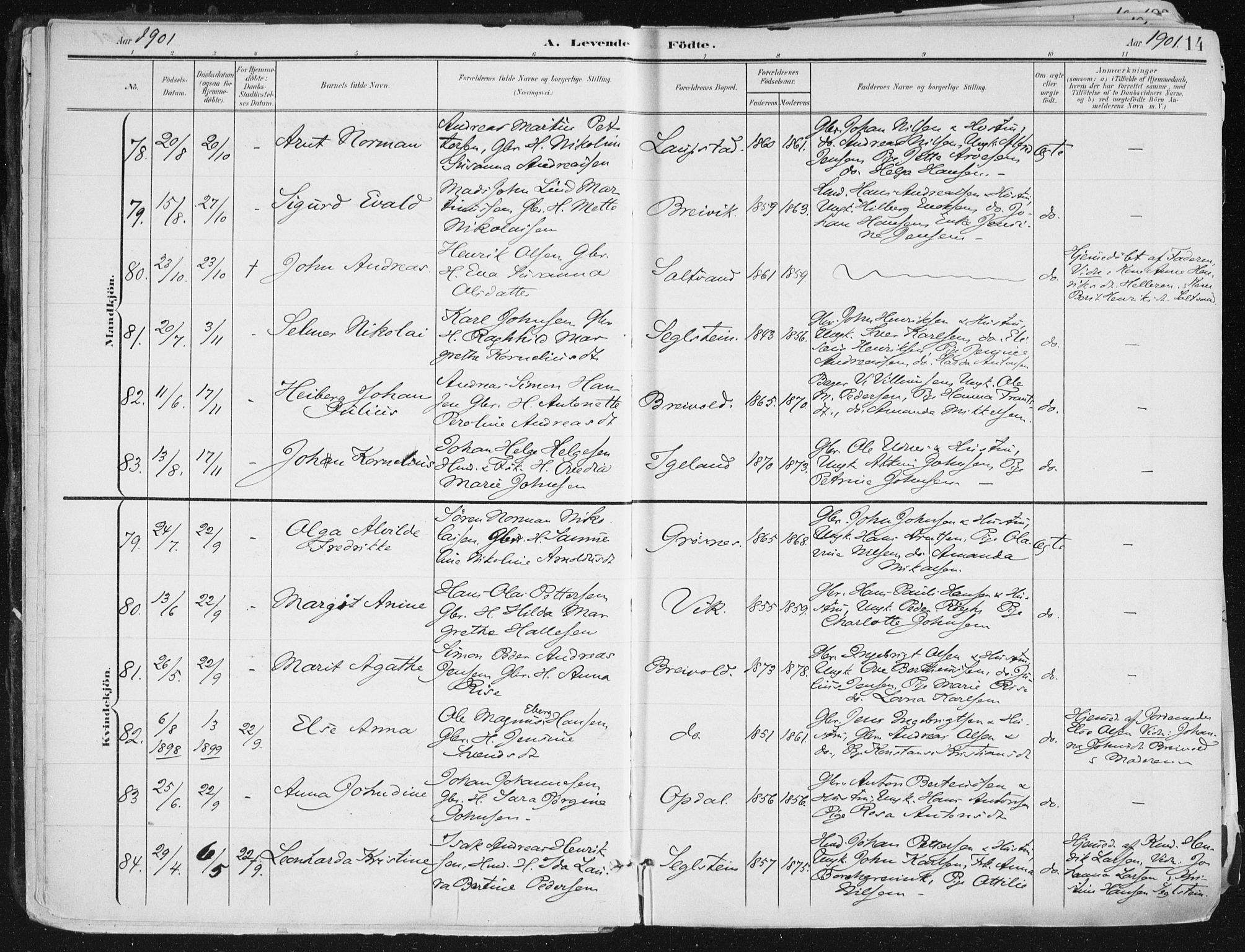 Ibestad sokneprestembete, SATØ/S-0077/H/Ha/Haa/L0017kirke: Parish register (official) no. 17, 1901-1914, p. 14