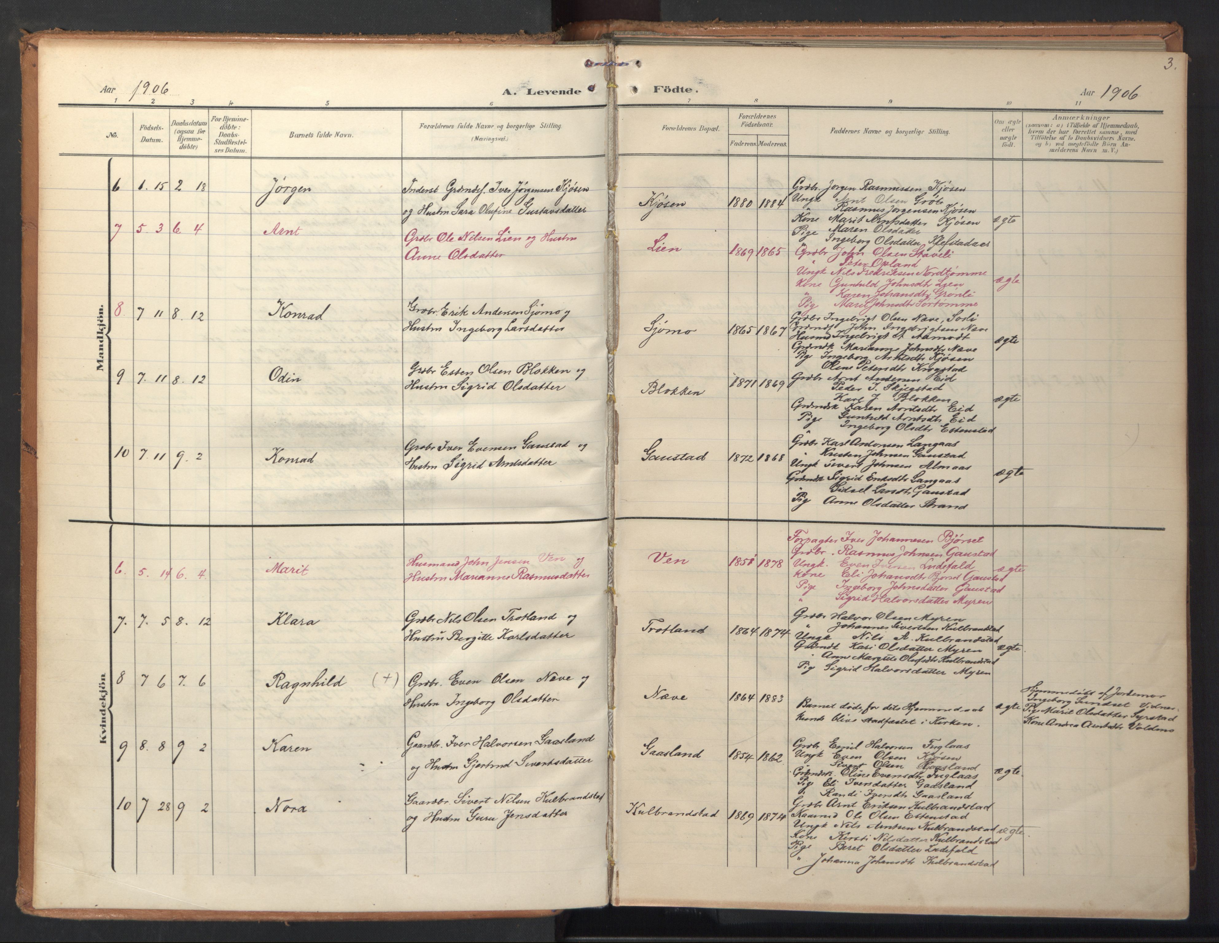 Ministerialprotokoller, klokkerbøker og fødselsregistre - Sør-Trøndelag, SAT/A-1456/694/L1128: Parish register (official) no. 694A02, 1906-1931, p. 3