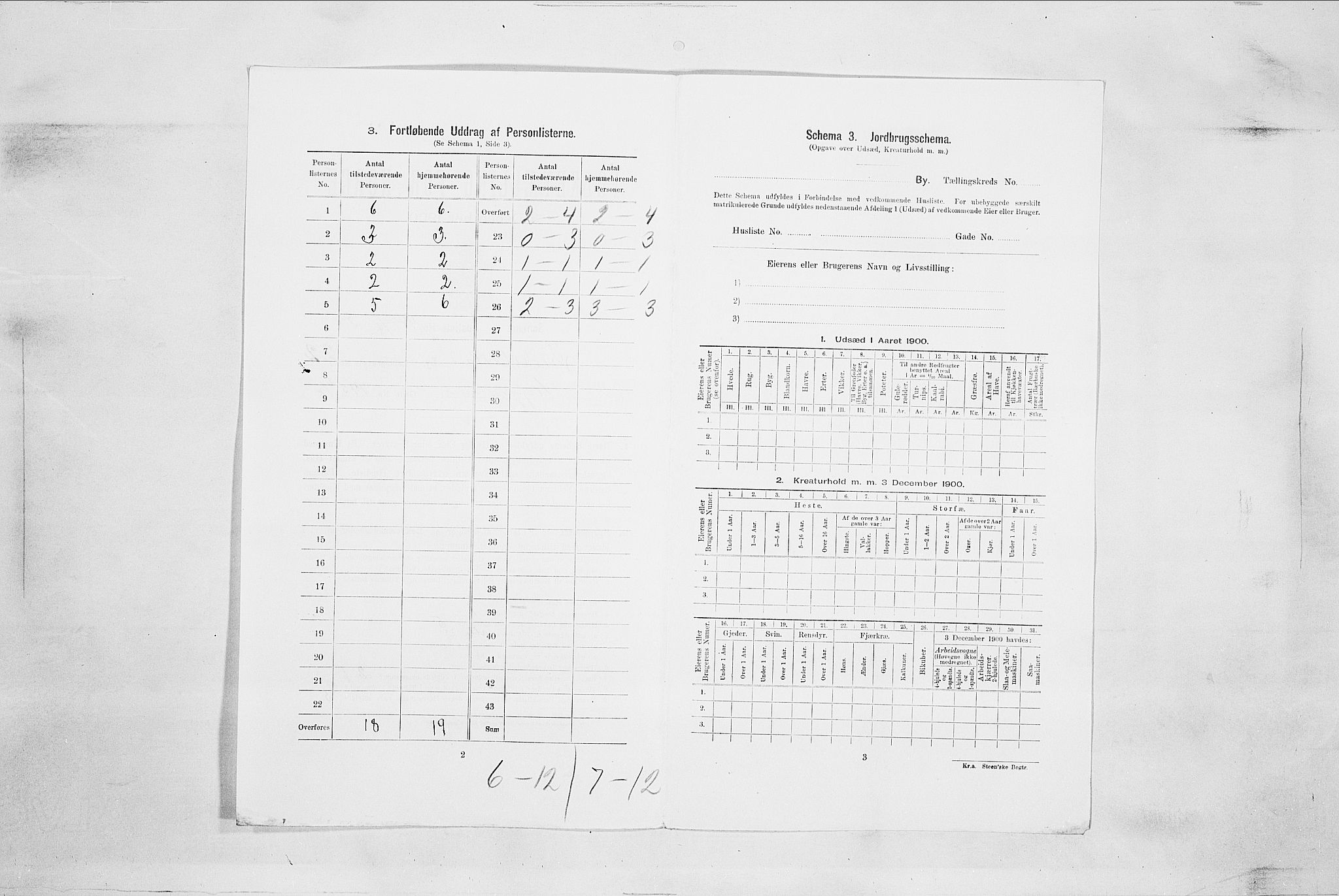 SAO, 1900 census for Fredrikstad, 1900