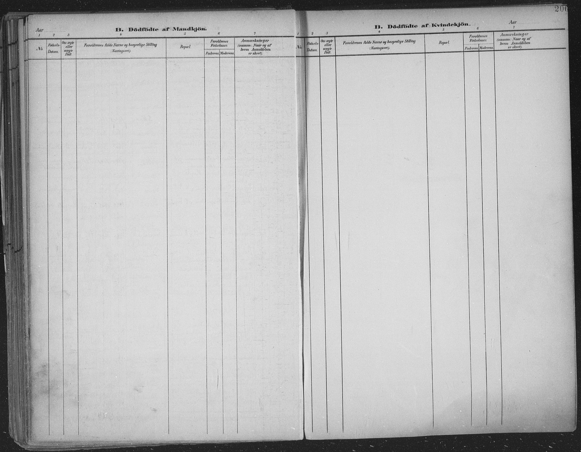 Skien kirkebøker, SAKO/A-302/F/Fa/L0011: Parish register (official) no. 11, 1900-1907, p. 206