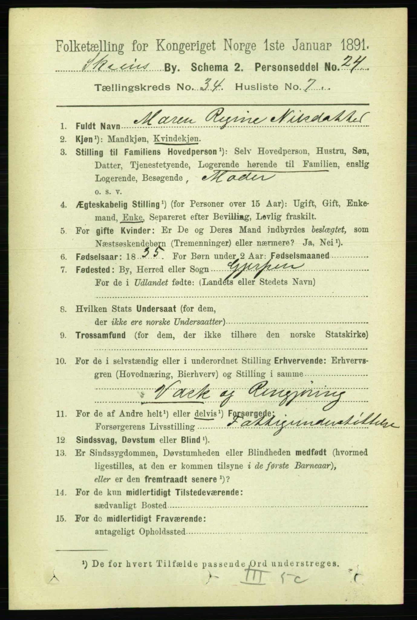 RA, 1891 census for 0806 Skien, 1891, p. 7805