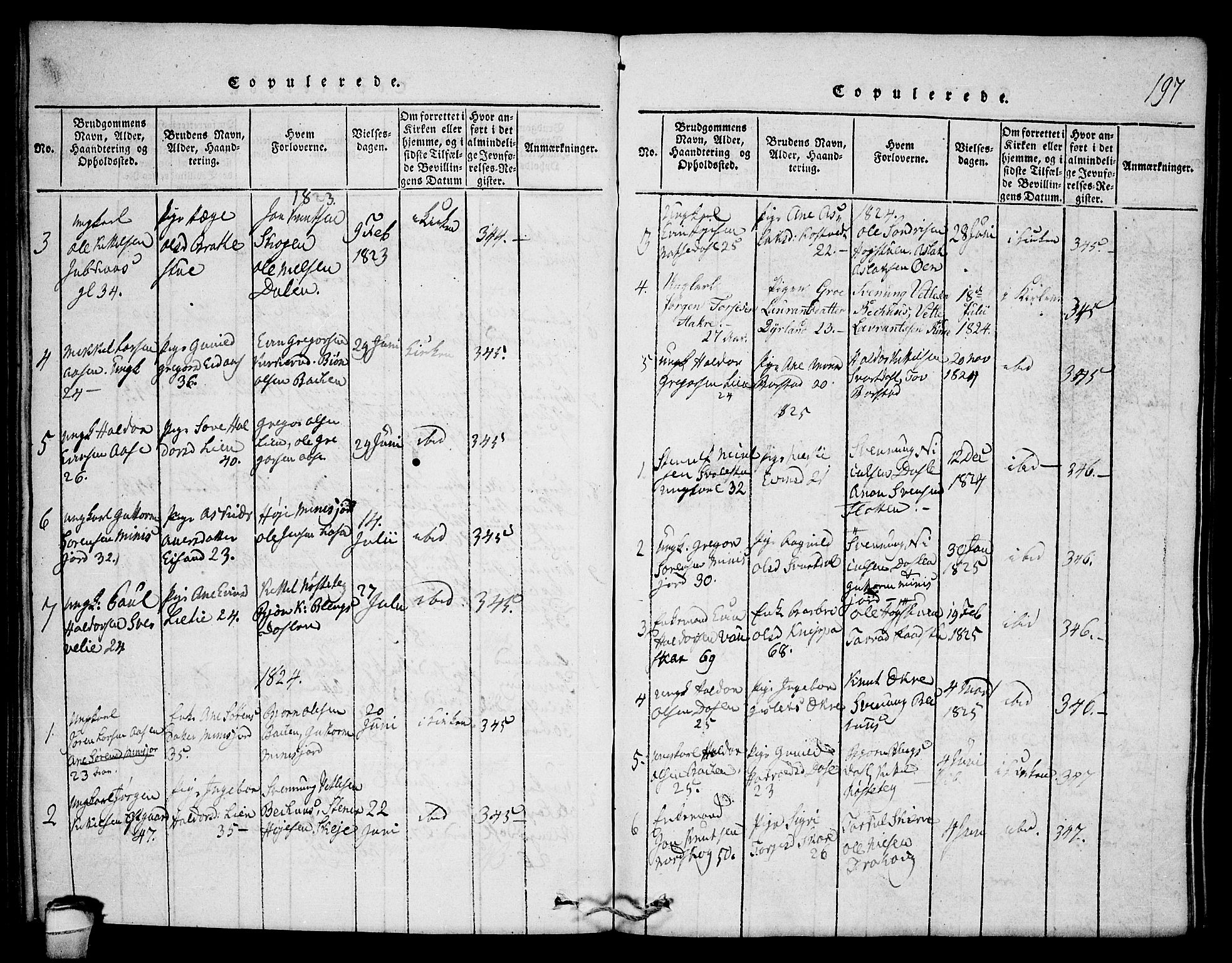 Seljord kirkebøker, SAKO/A-20/F/Fb/L0001: Parish register (official) no. II 1, 1815-1831, p. 197