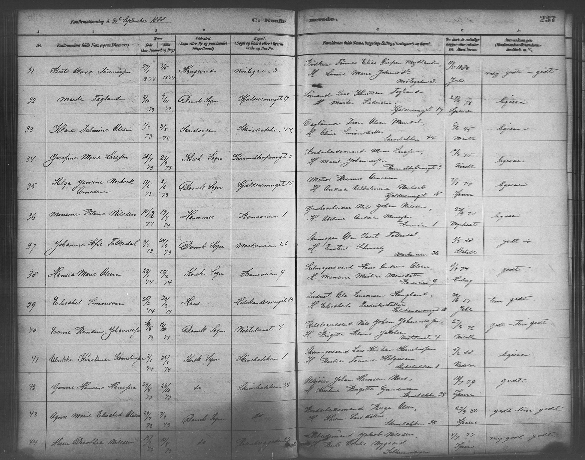 Domkirken sokneprestembete, AV/SAB-A-74801/H/Haa/L0030: Parish register (official) no. C 5, 1880-1898, p. 237