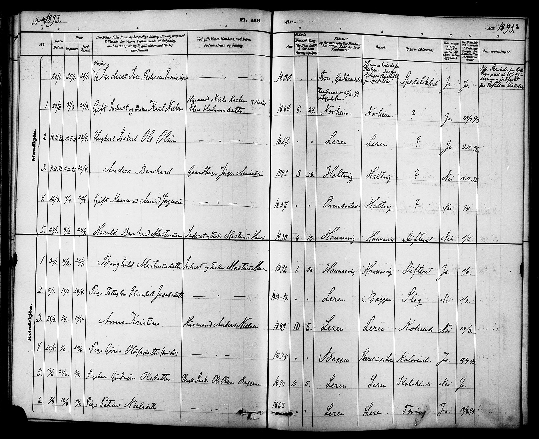 Ministerialprotokoller, klokkerbøker og fødselsregistre - Møre og Romsdal, AV/SAT-A-1454/577/L0896: Parish register (official) no. 577A03, 1880-1898, p. 224