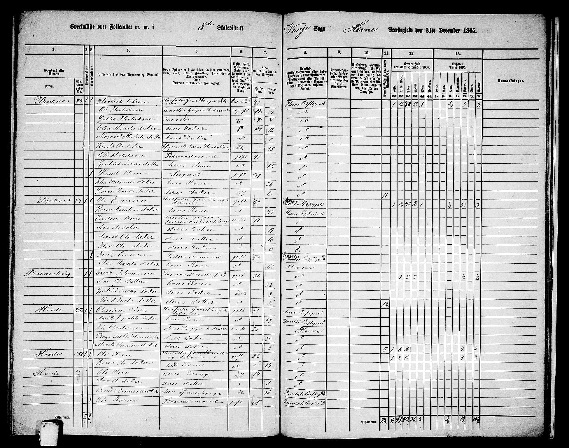RA, 1865 census for Hemne, 1865, p. 168