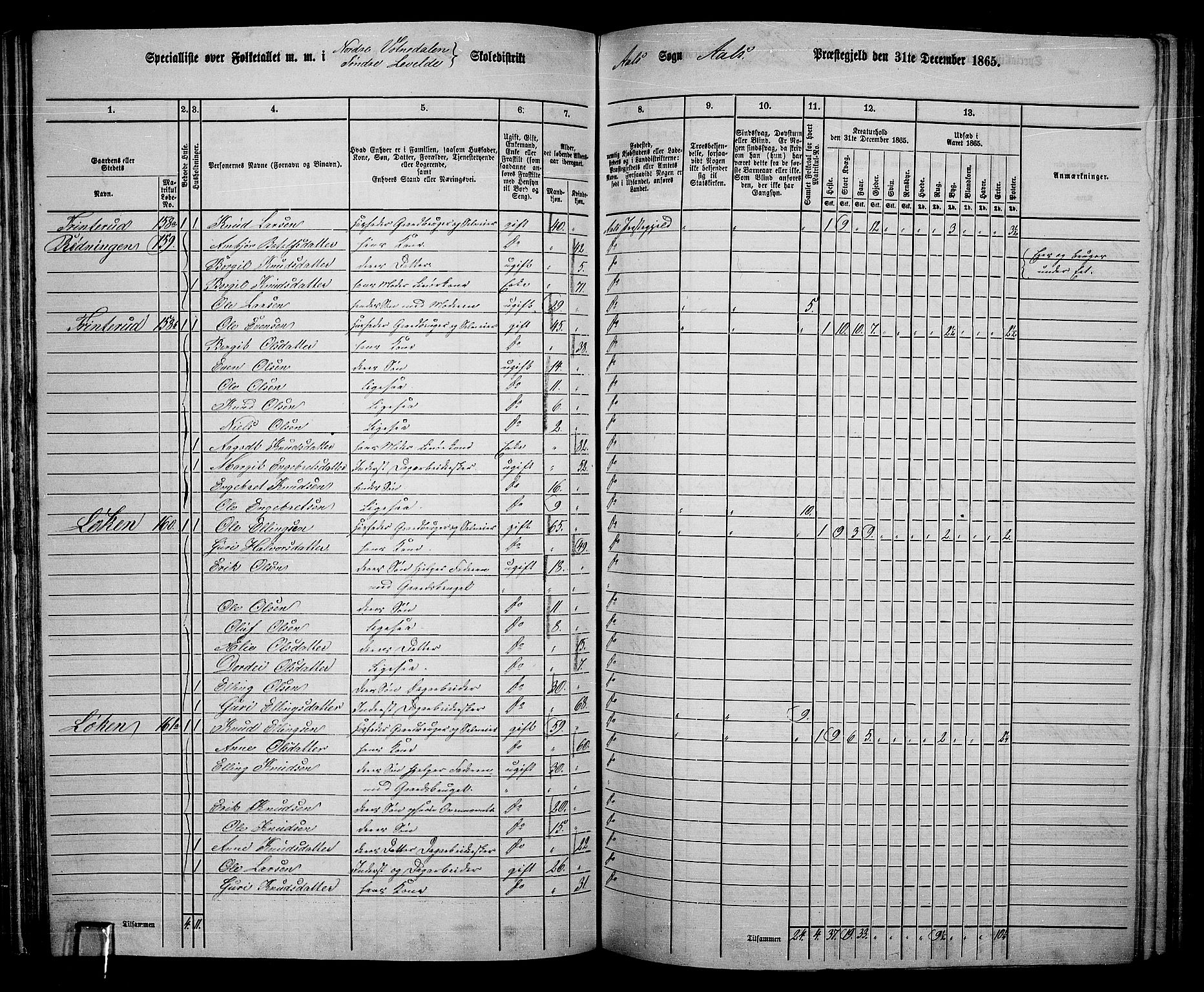 RA, 1865 census for Ål, 1865, p. 101