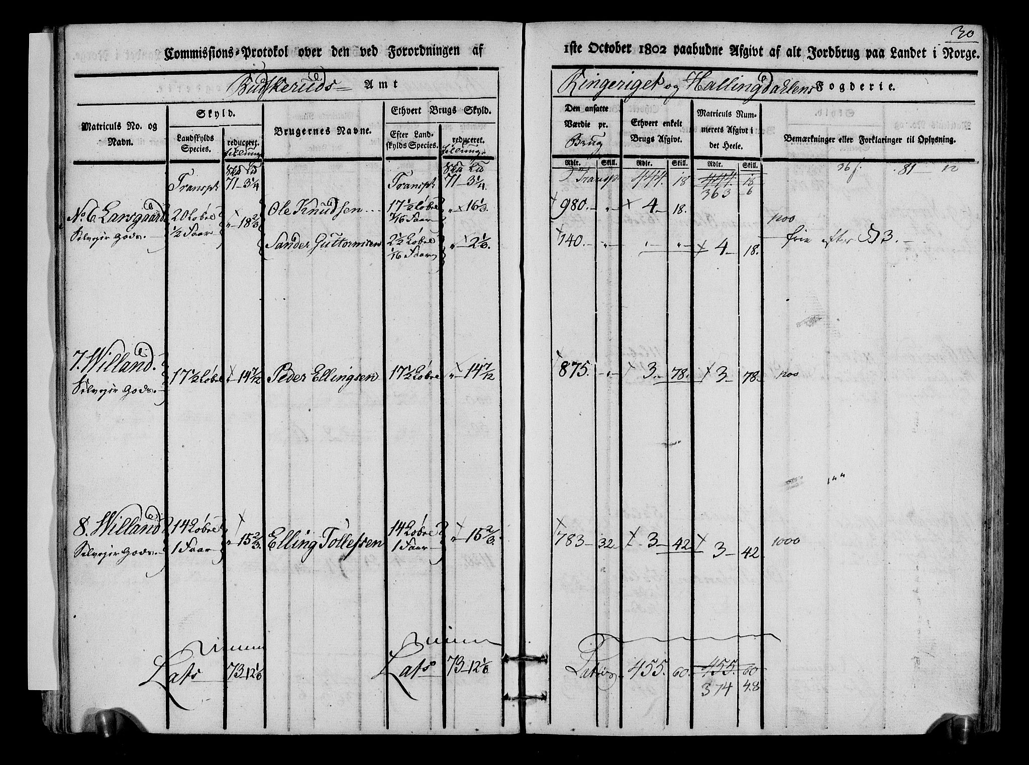 Rentekammeret inntil 1814, Realistisk ordnet avdeling, AV/RA-EA-4070/N/Ne/Nea/L0048: Ringerike og Hallingdal fogderi. Kommisjonsprotokoll for Ål prestegjeld, 1803, p. 33