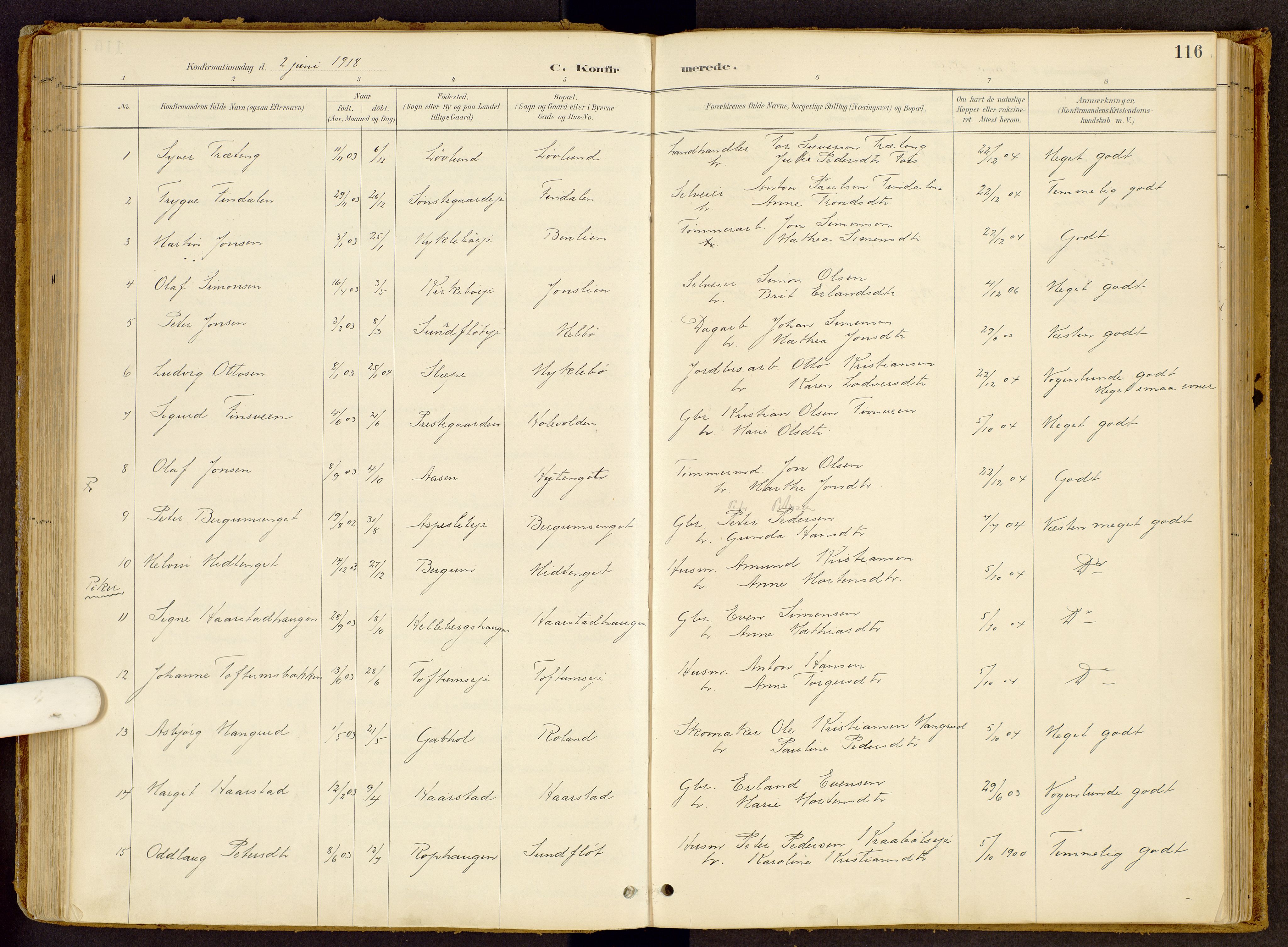 Vestre Gausdal prestekontor, SAH/PREST-094/H/Ha/Haa/L0002: Parish register (official) no. 2, 1887-1918, p. 116