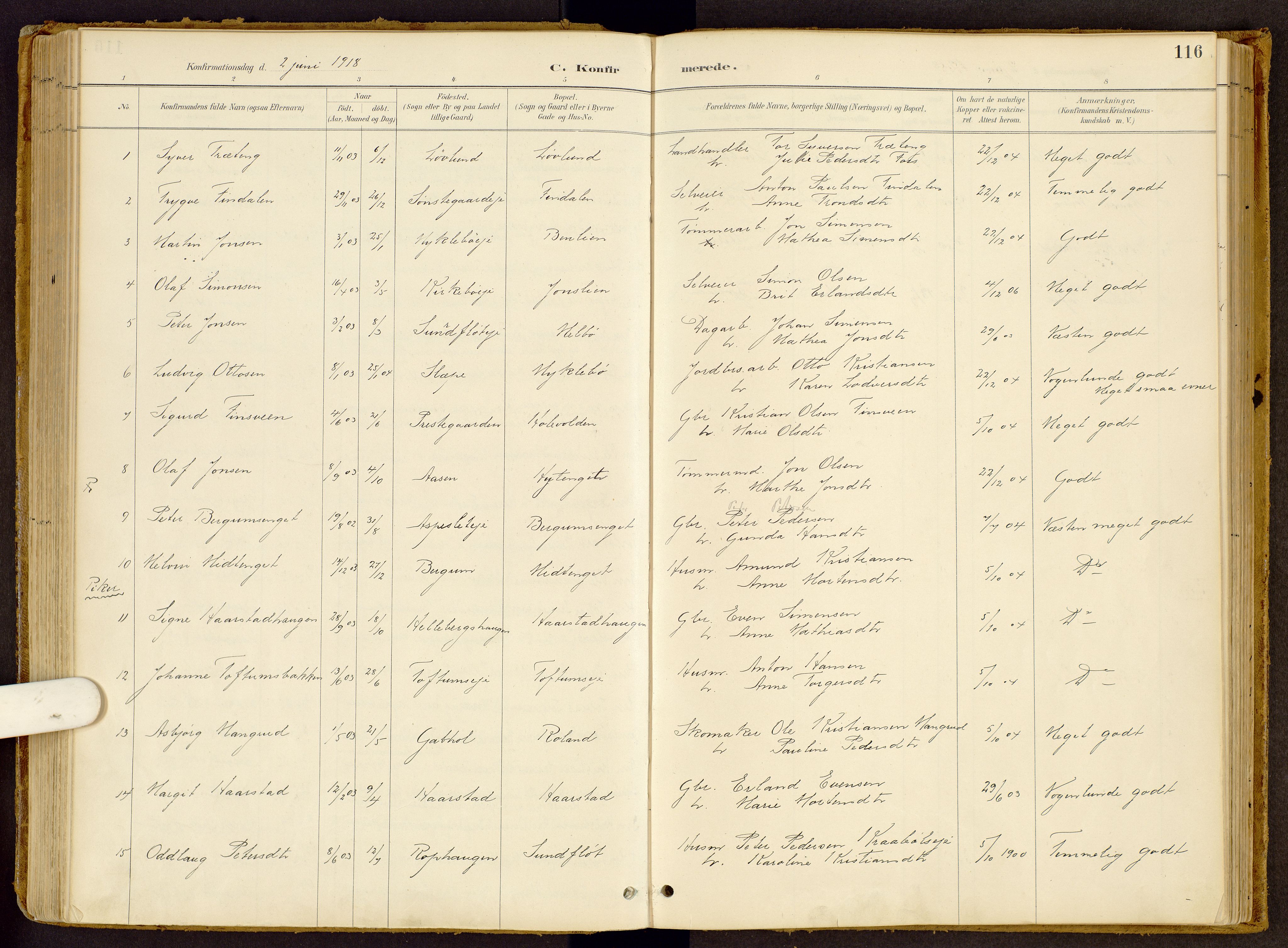 Vestre Gausdal prestekontor, AV/SAH-PREST-094/H/Ha/Haa/L0002: Parish register (official) no. 2, 1887-1918, p. 116