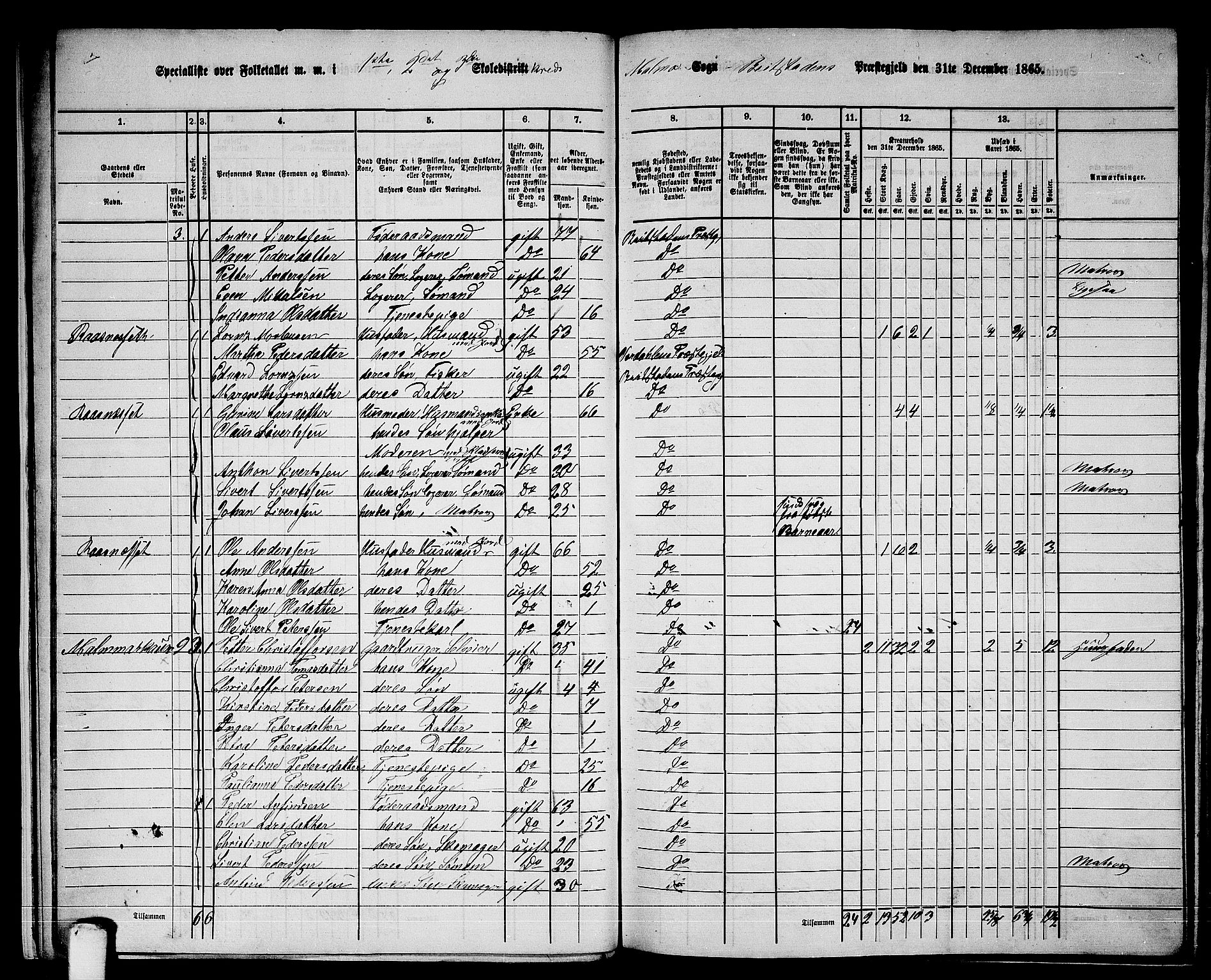 RA, 1865 census for Beitstad, 1865, p. 19