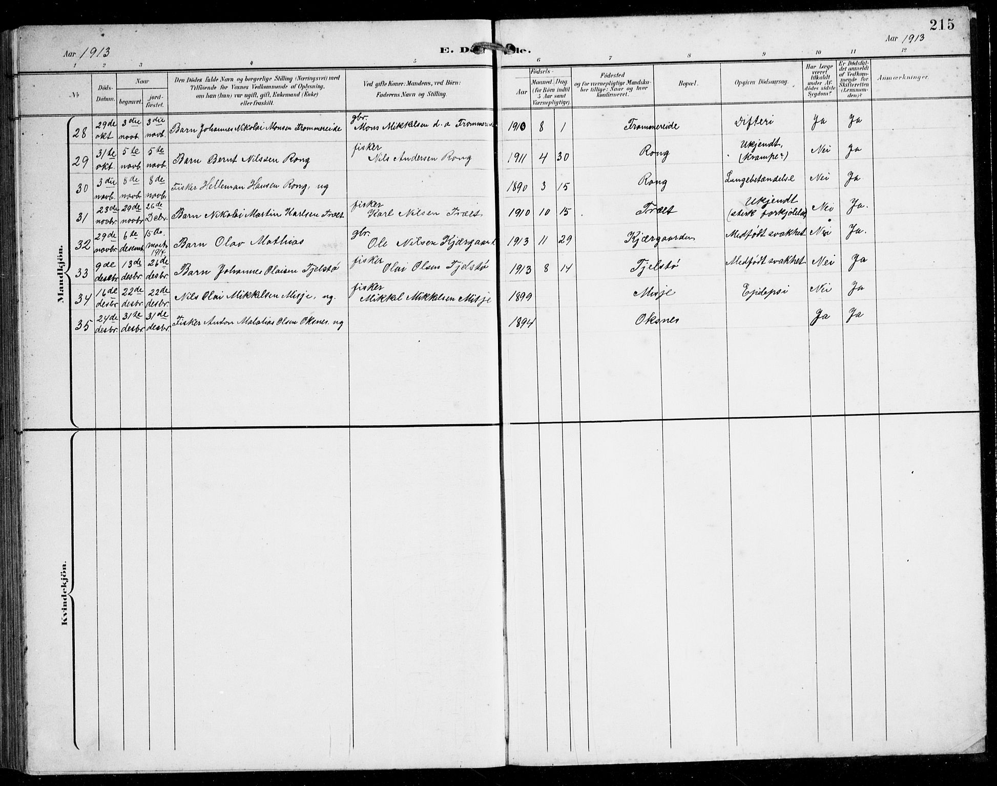 Herdla Sokneprestembete, SAB/A-75701/H/Hab: Parish register (copy) no. C 1, 1900-1913, p. 215